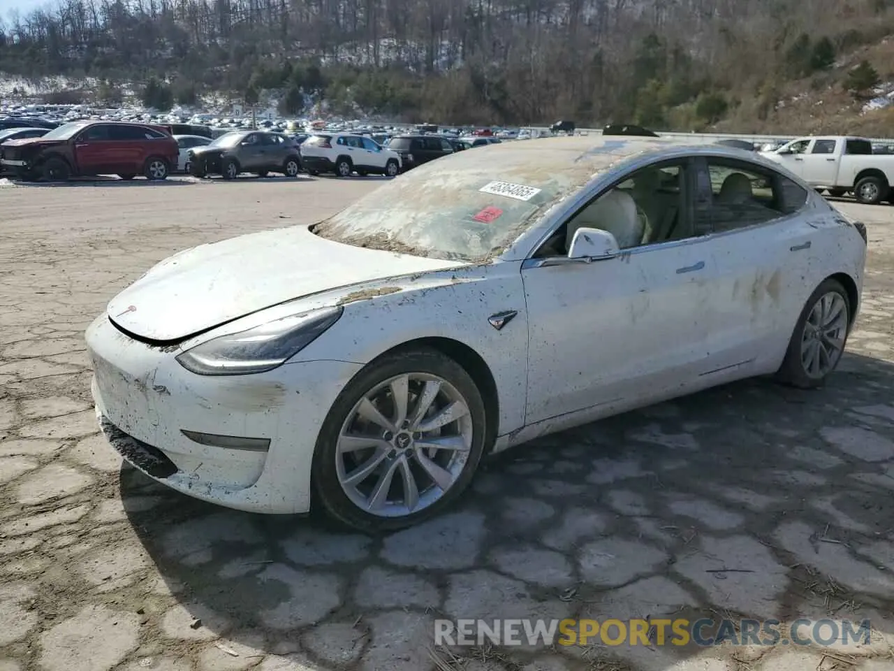 1 fotografías del automóvil dañado 5YJ3E1EA3KF509087 TESLA MODEL 3 2019