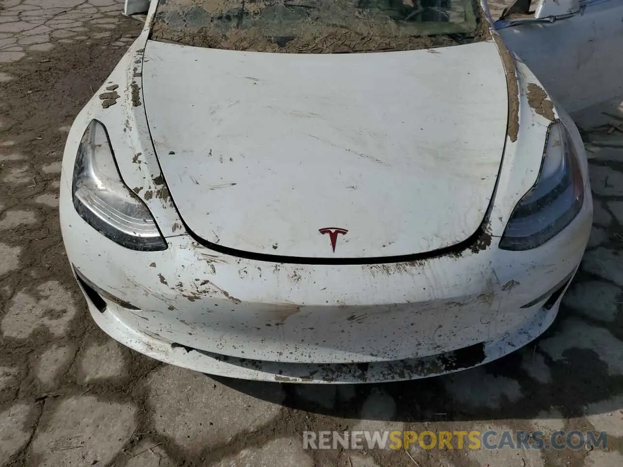 12 fotografías del automóvil dañado 5YJ3E1EA3KF509087 TESLA MODEL 3 2019