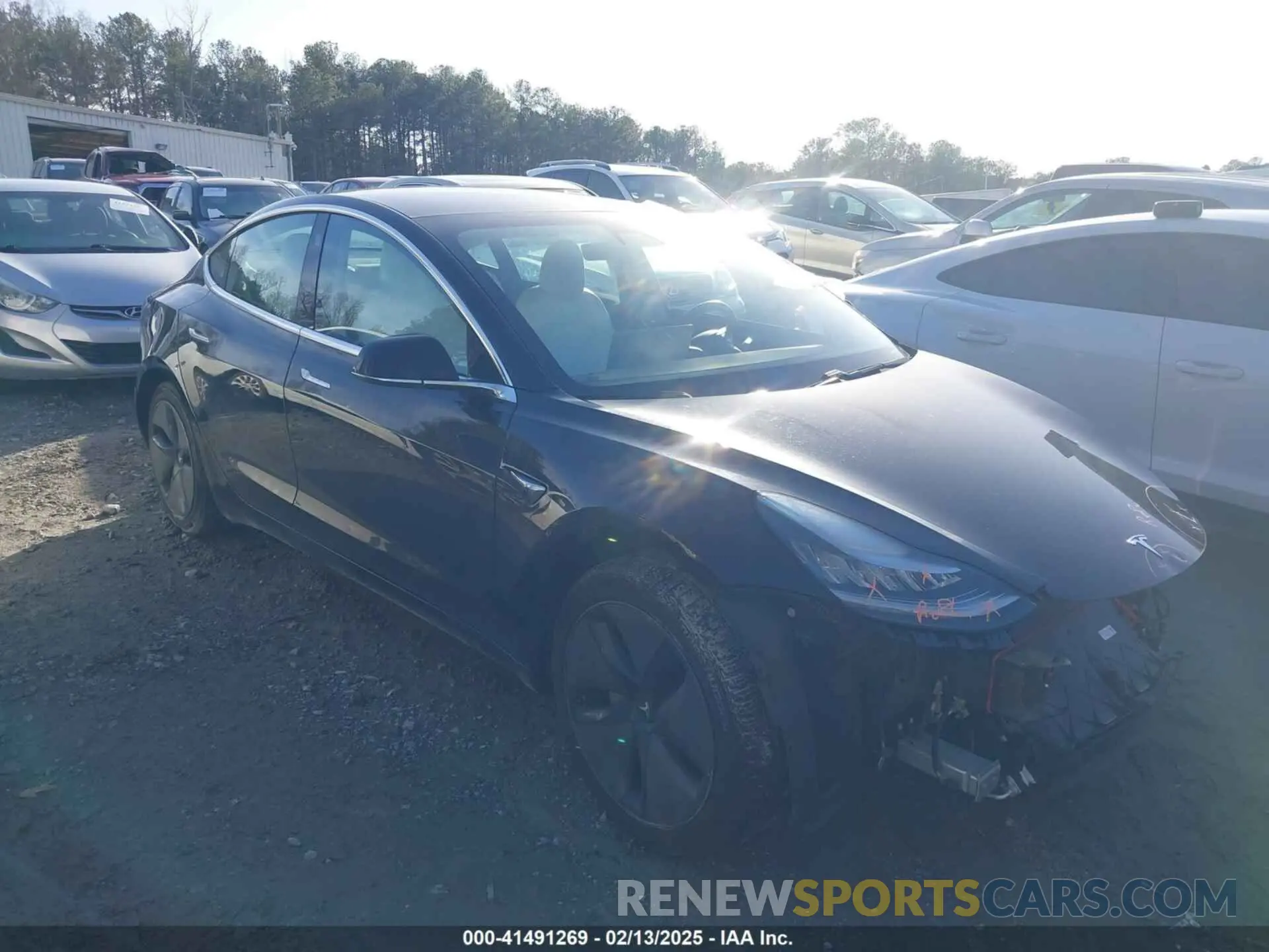 12 fotografías del automóvil dañado 5YJ3E1EA4KF317872 TESLA MODEL 3 2019
