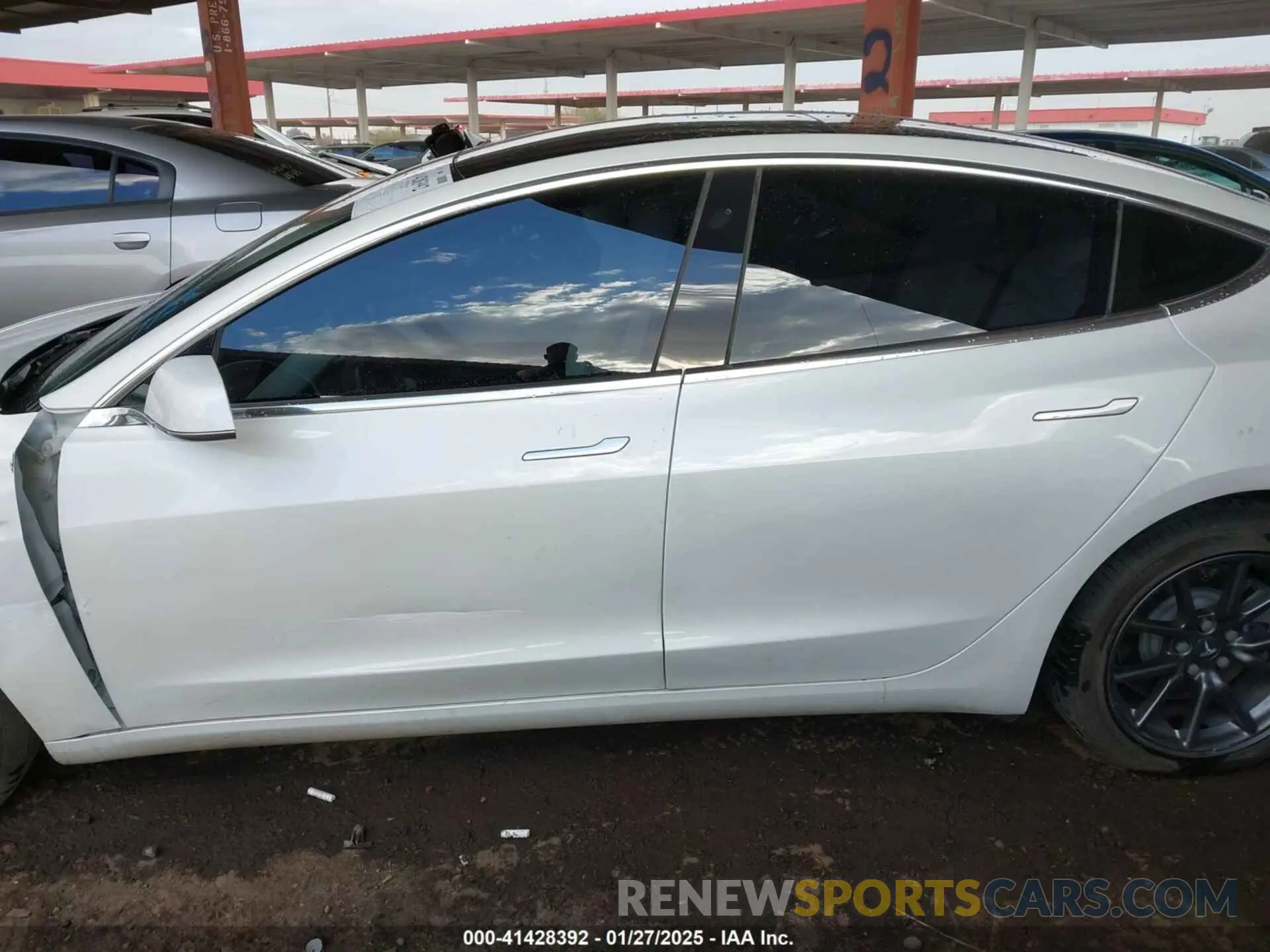13 fotografías del automóvil dañado 5YJ3E1EA4KF402940 TESLA MODEL 3 2019