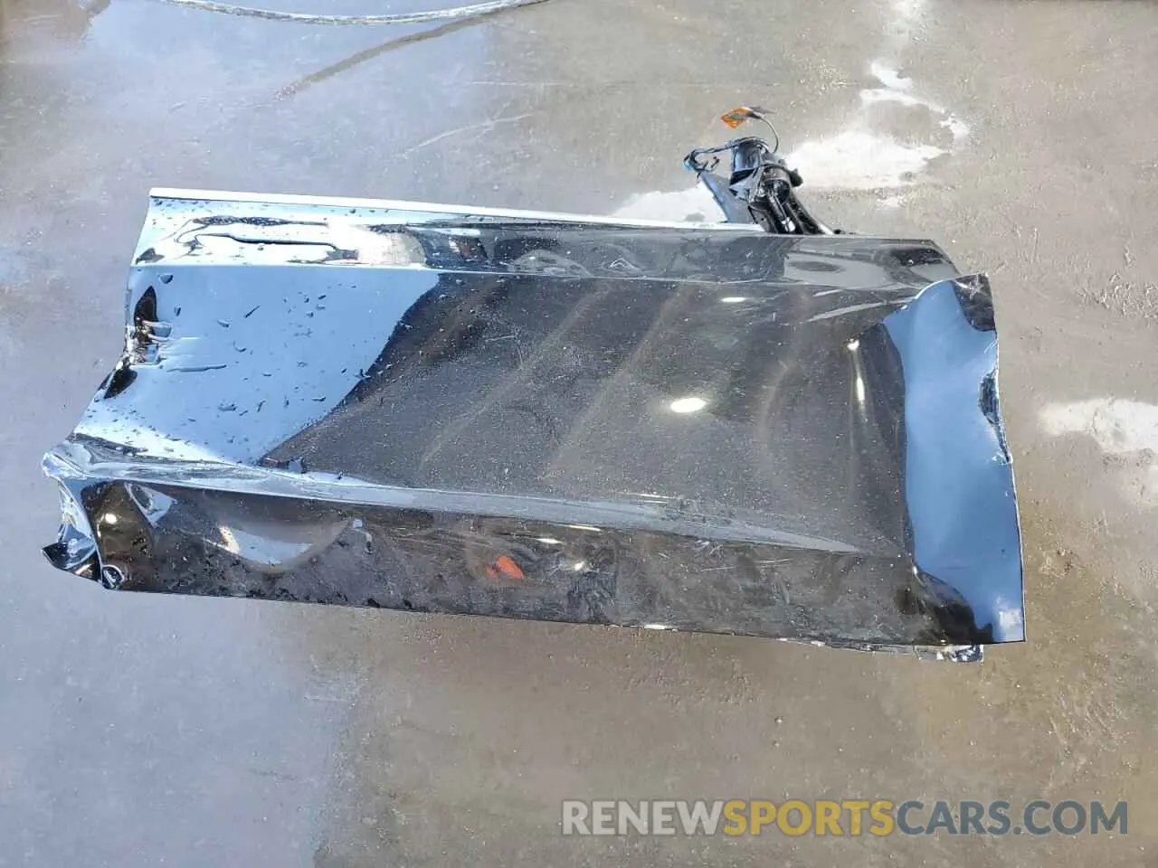 12 fotografías del automóvil dañado 5YJ3E1EA5KF298099 TESLA MODEL 3 2019