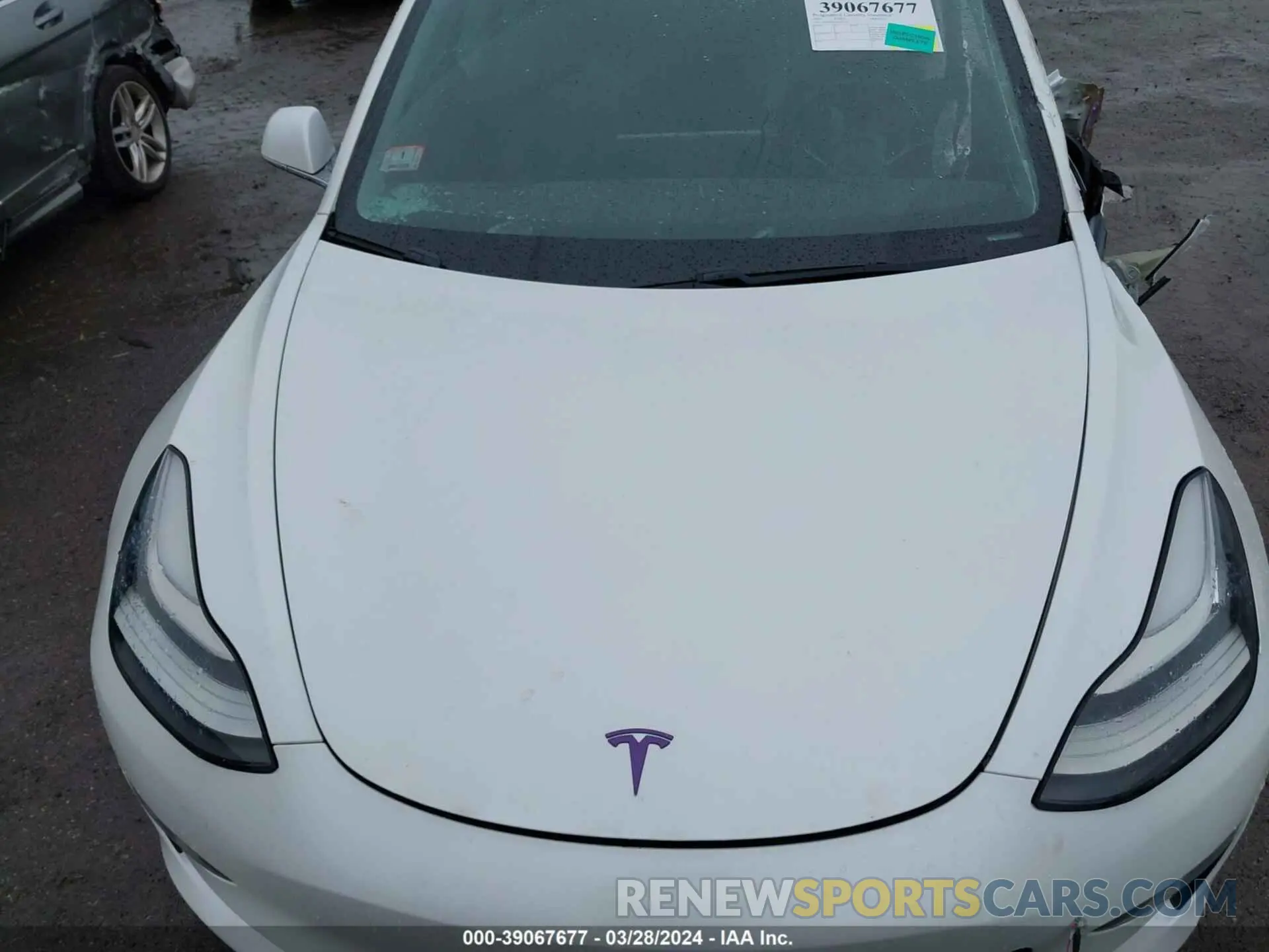10 fotografías del automóvil dañado 5YJ3E1EA5KF307139 TESLA MODEL 3 2019