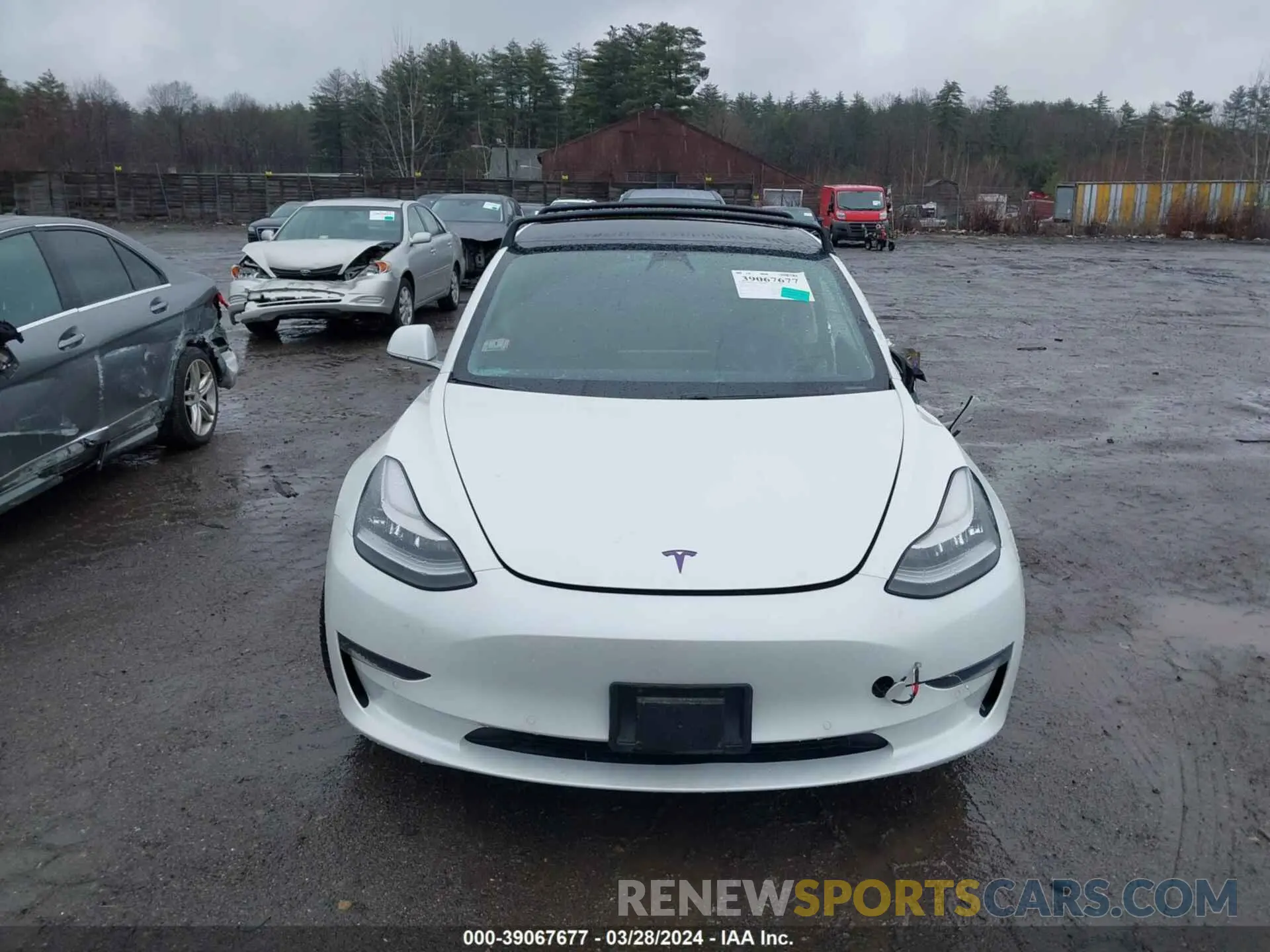 13 fotografías del automóvil dañado 5YJ3E1EA5KF307139 TESLA MODEL 3 2019