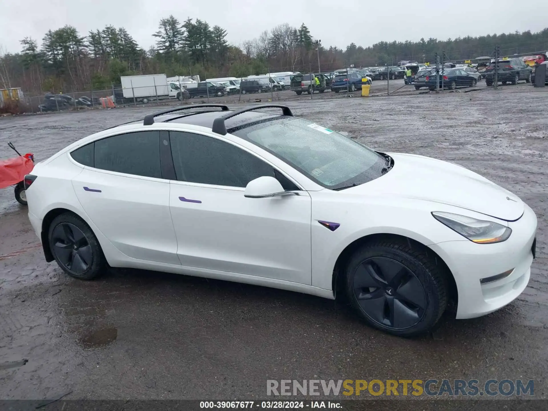 14 fotografías del automóvil dañado 5YJ3E1EA5KF307139 TESLA MODEL 3 2019