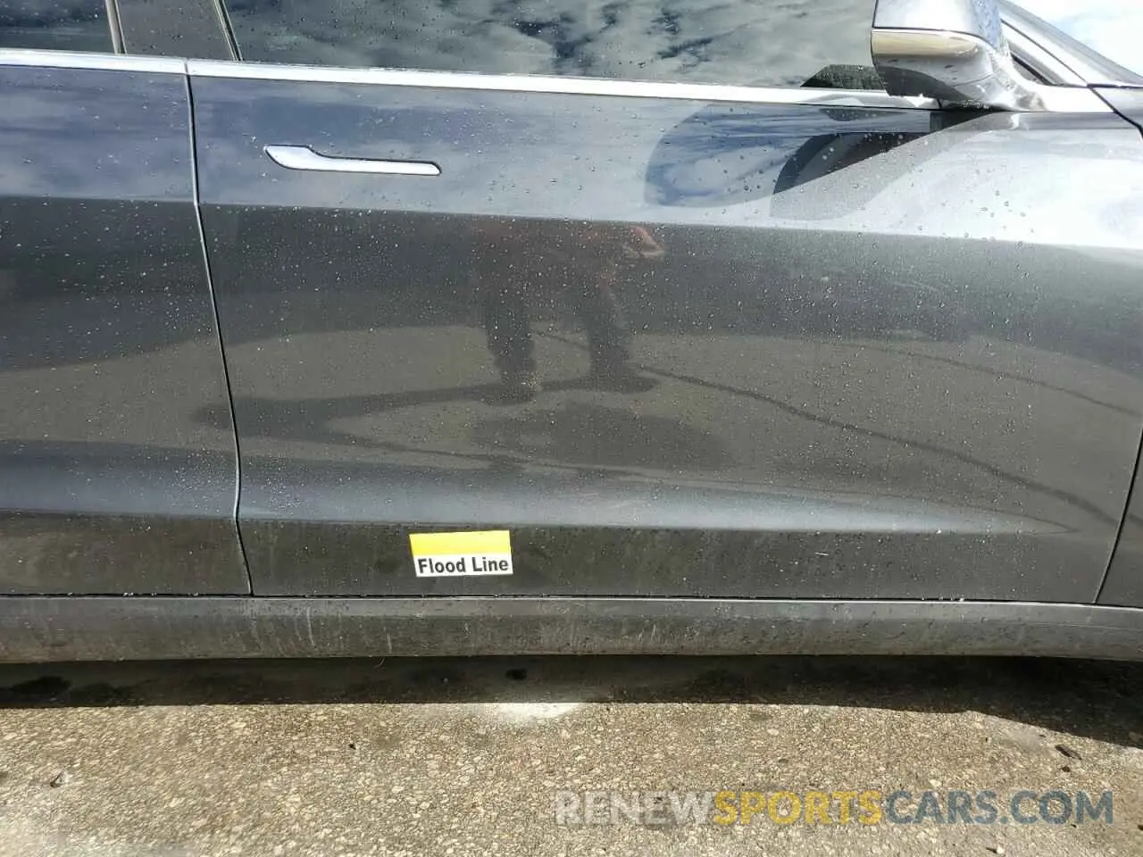 12 fotografías del automóvil dañado 5YJ3E1EA5KF417611 TESLA MODEL 3 2019