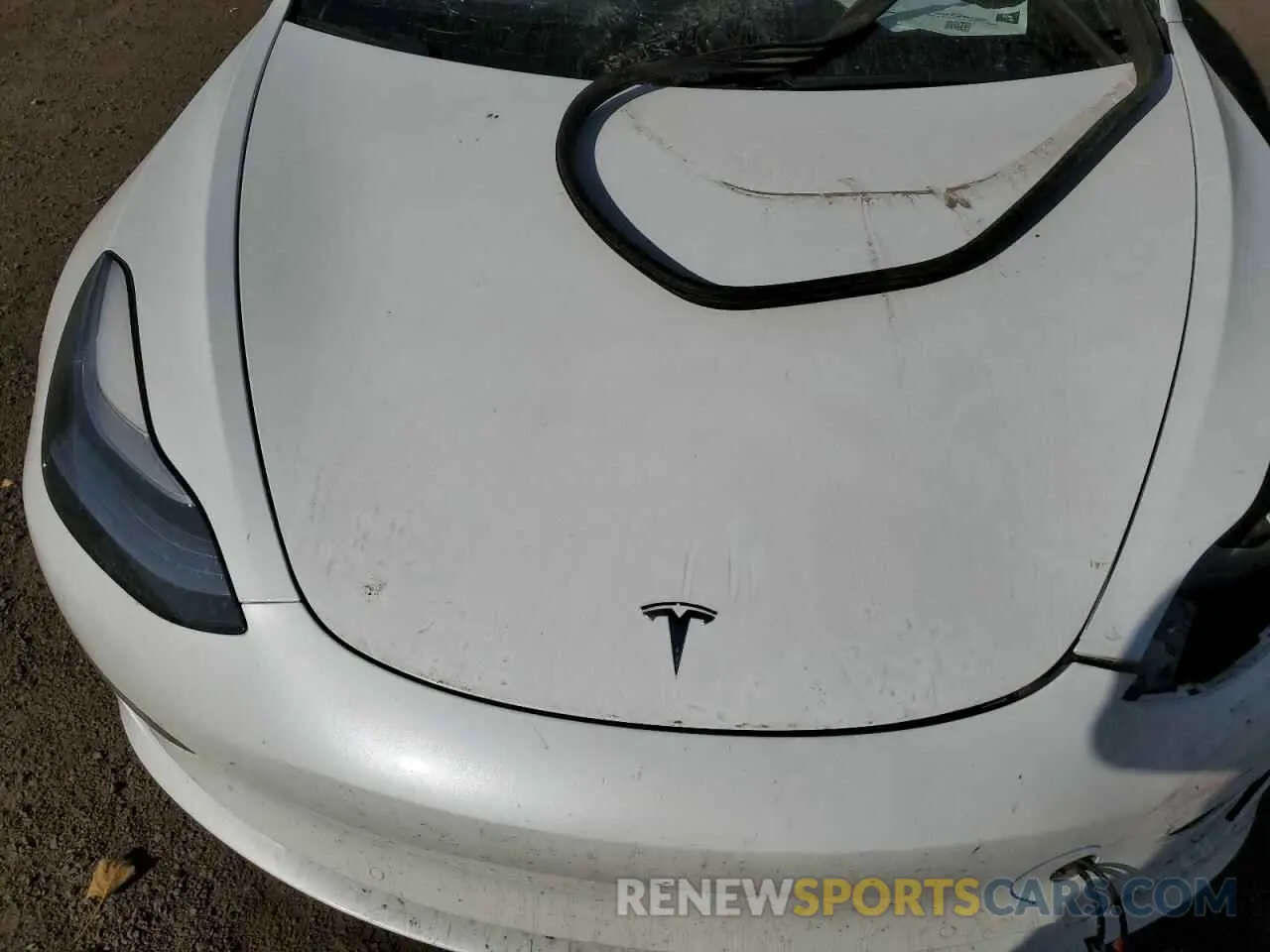 11 fotografías del automóvil dañado 5YJ3E1EA5KF483219 TESLA MODEL 3 2019