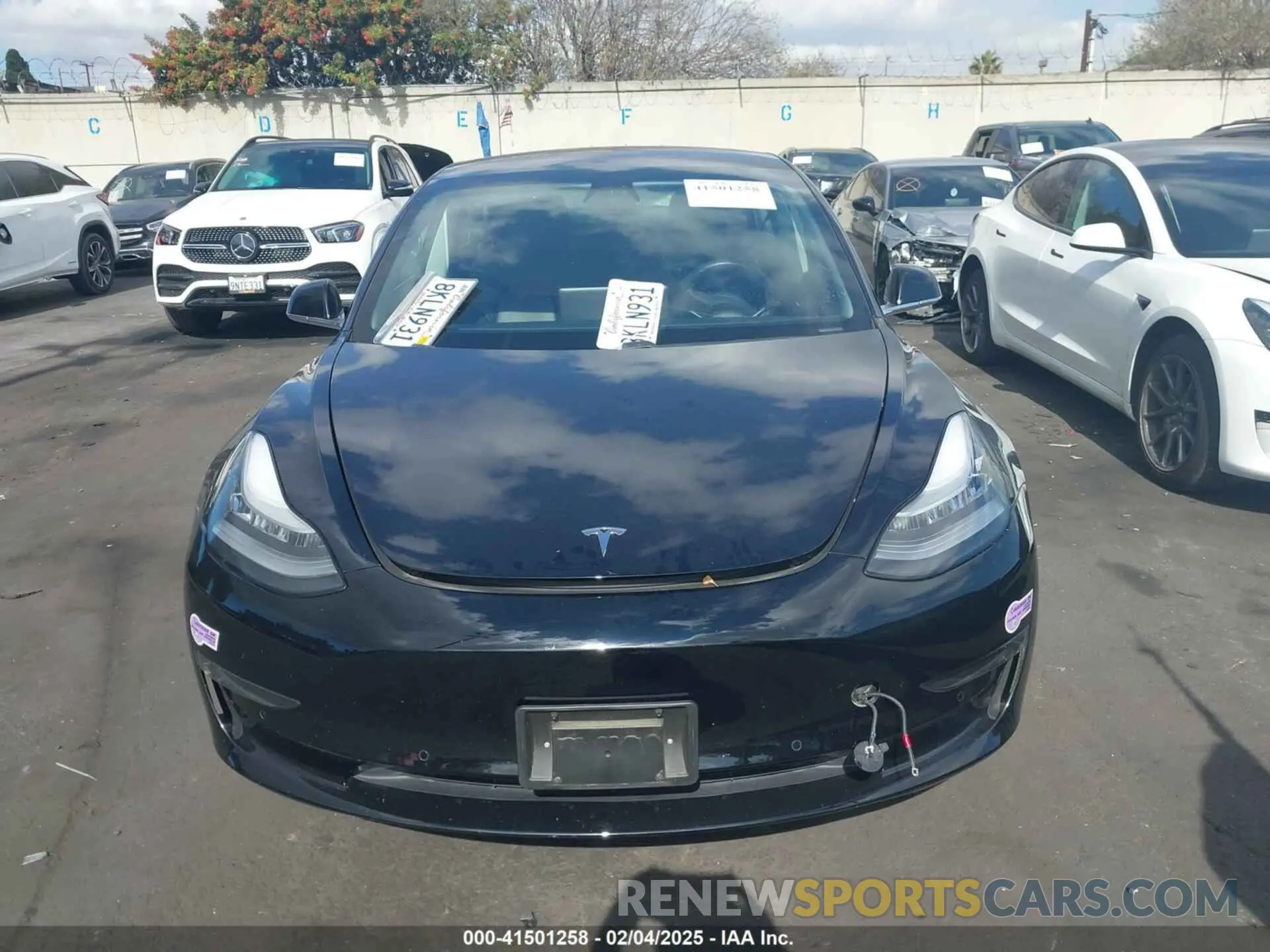 13 fotografías del automóvil dañado 5YJ3E1EA6KF314259 TESLA MODEL 3 2019
