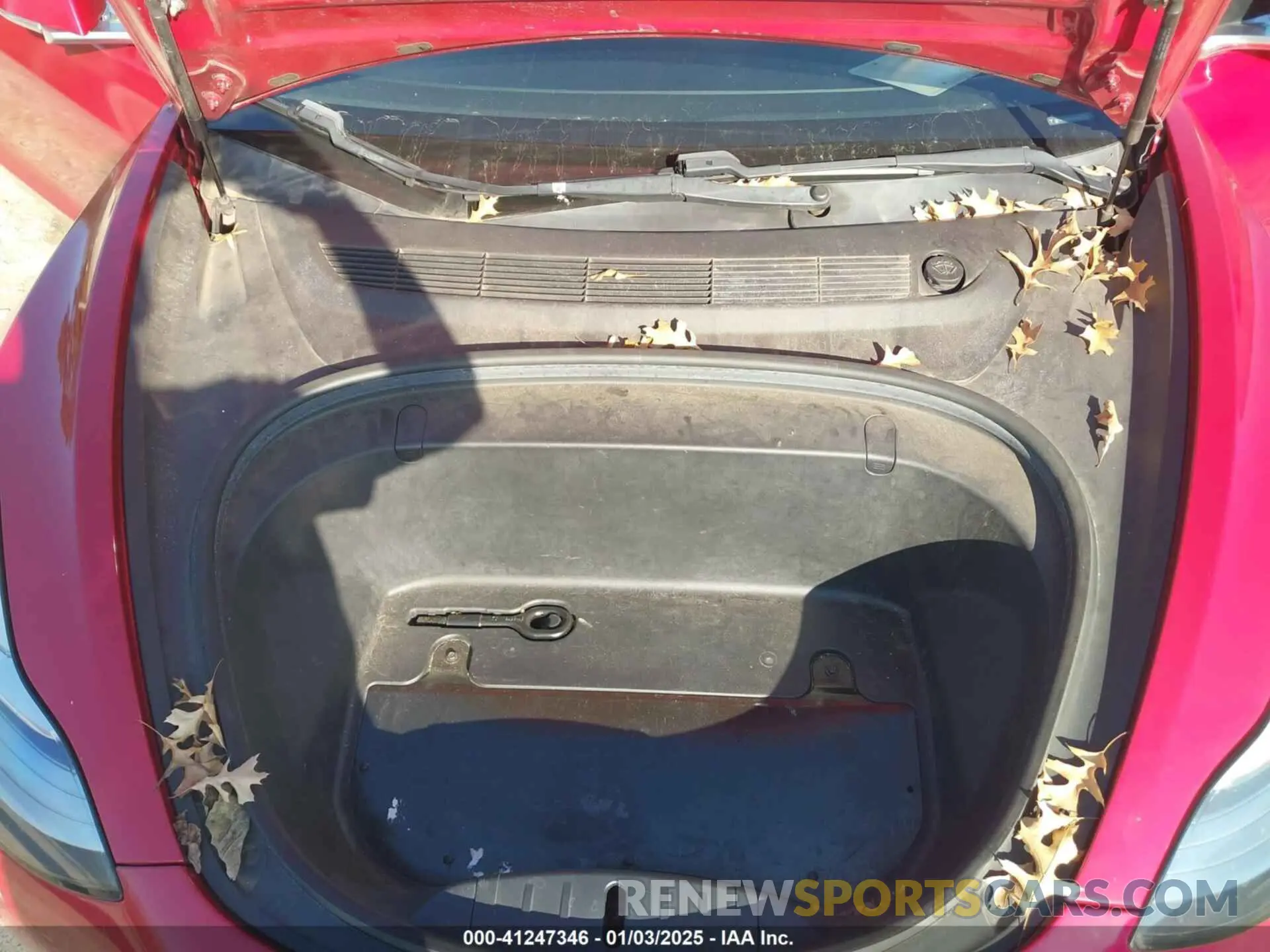 10 fotografías del automóvil dañado 5YJ3E1EA7KF307174 TESLA MODEL 3 2019