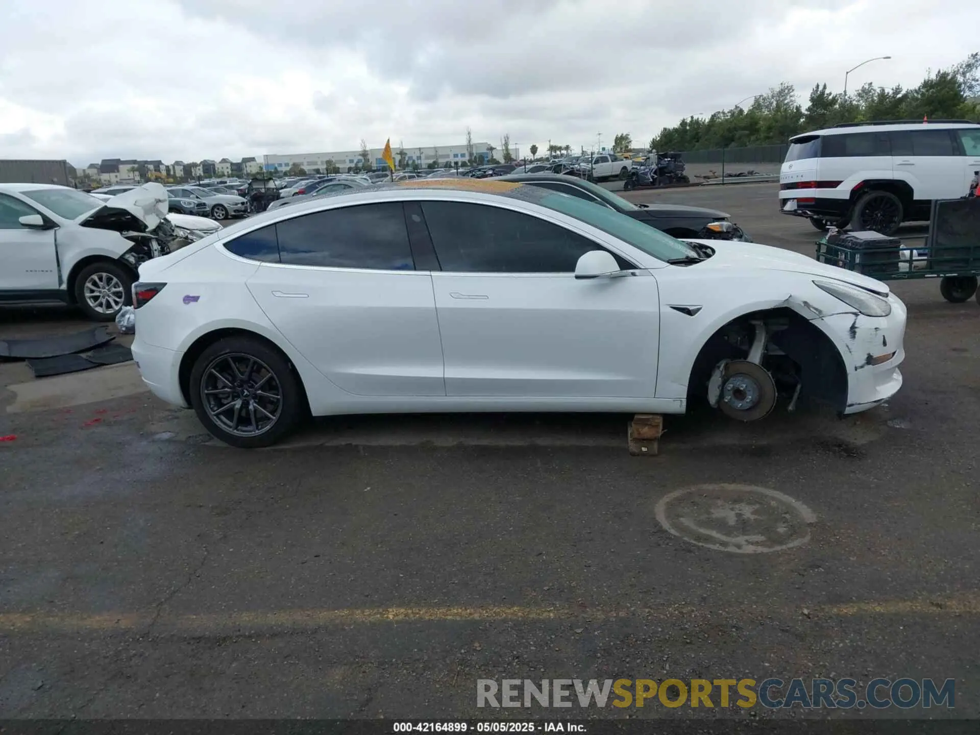 14 fotografías del automóvil dañado 5YJ3E1EA7KF326498 TESLA MODEL 3 2019