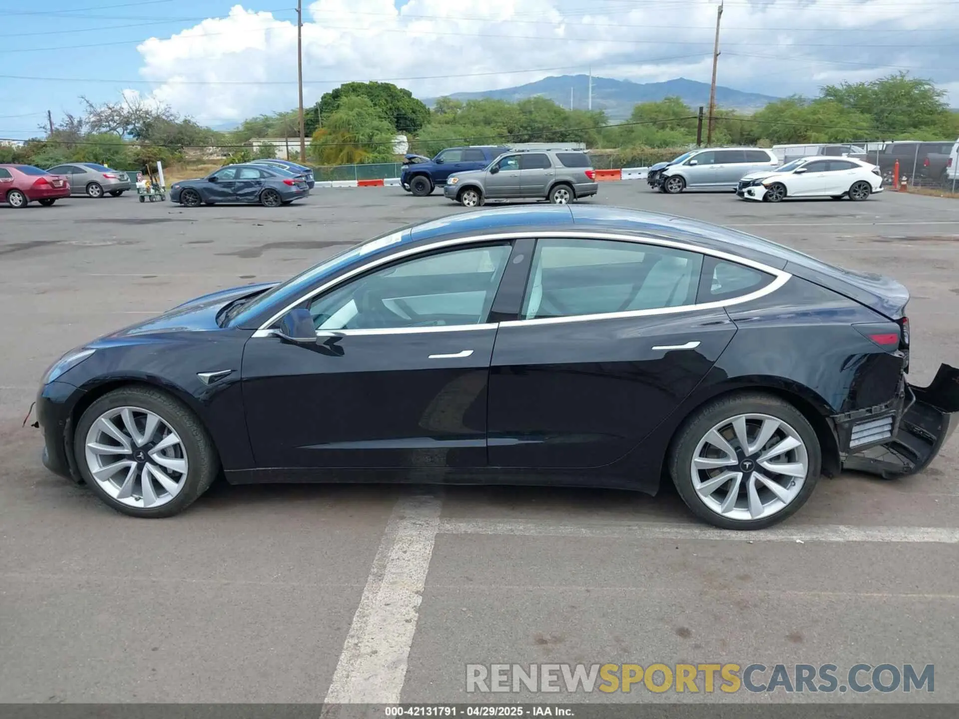 15 fotografías del automóvil dañado 5YJ3E1EA7KF445166 TESLA MODEL 3 2019