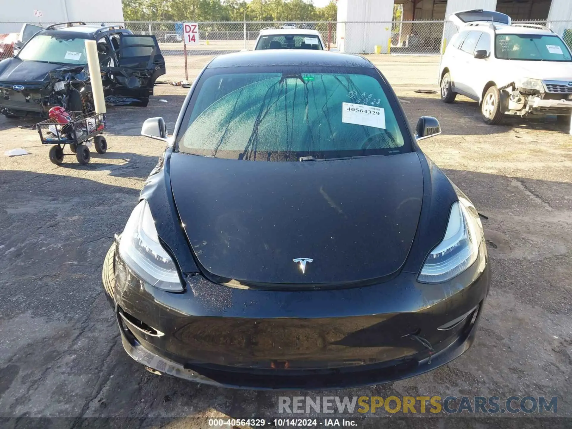 11 fotografías del automóvil dañado 5YJ3E1EAXKF325409 TESLA MODEL 3 2019