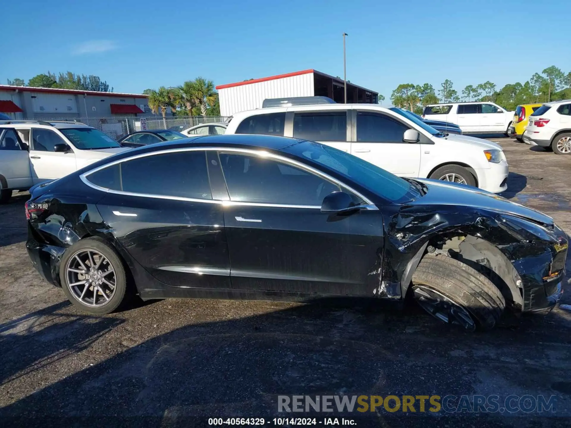 12 fotografías del automóvil dañado 5YJ3E1EAXKF325409 TESLA MODEL 3 2019