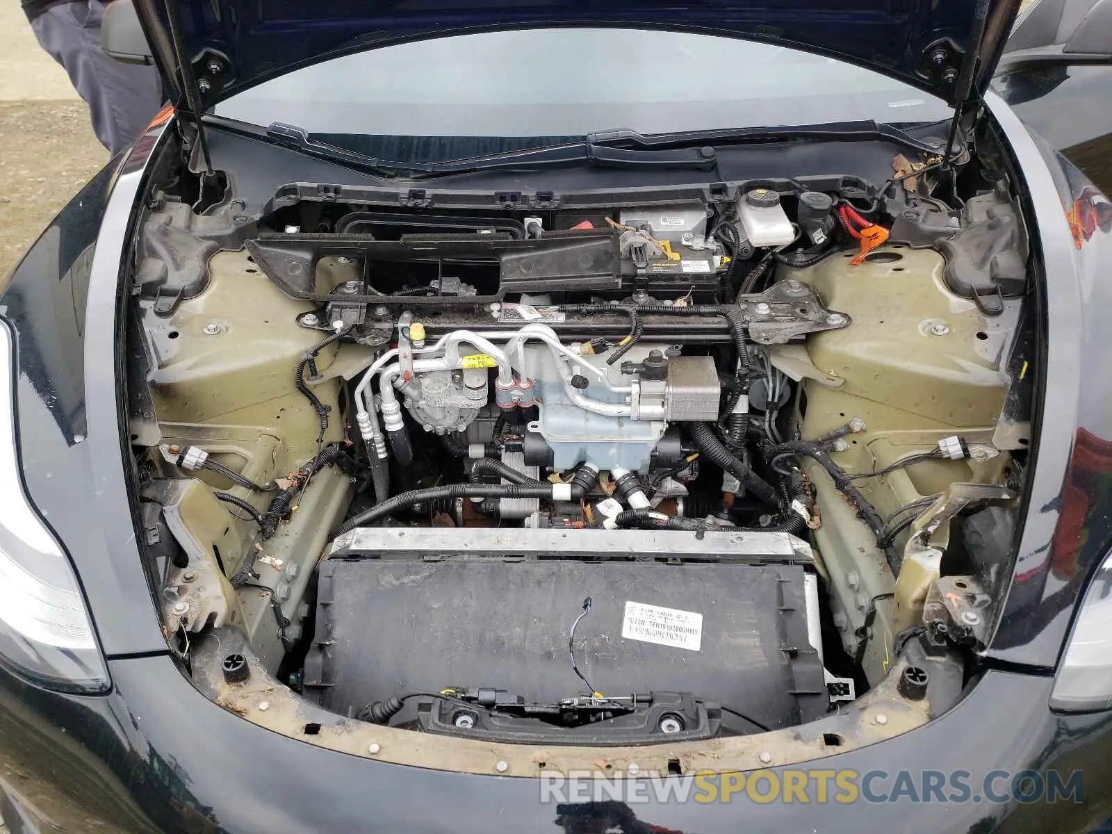 7 fotografías del automóvil dañado 5YJ3E1EB0KF385319 TESLA MODEL 3 2019