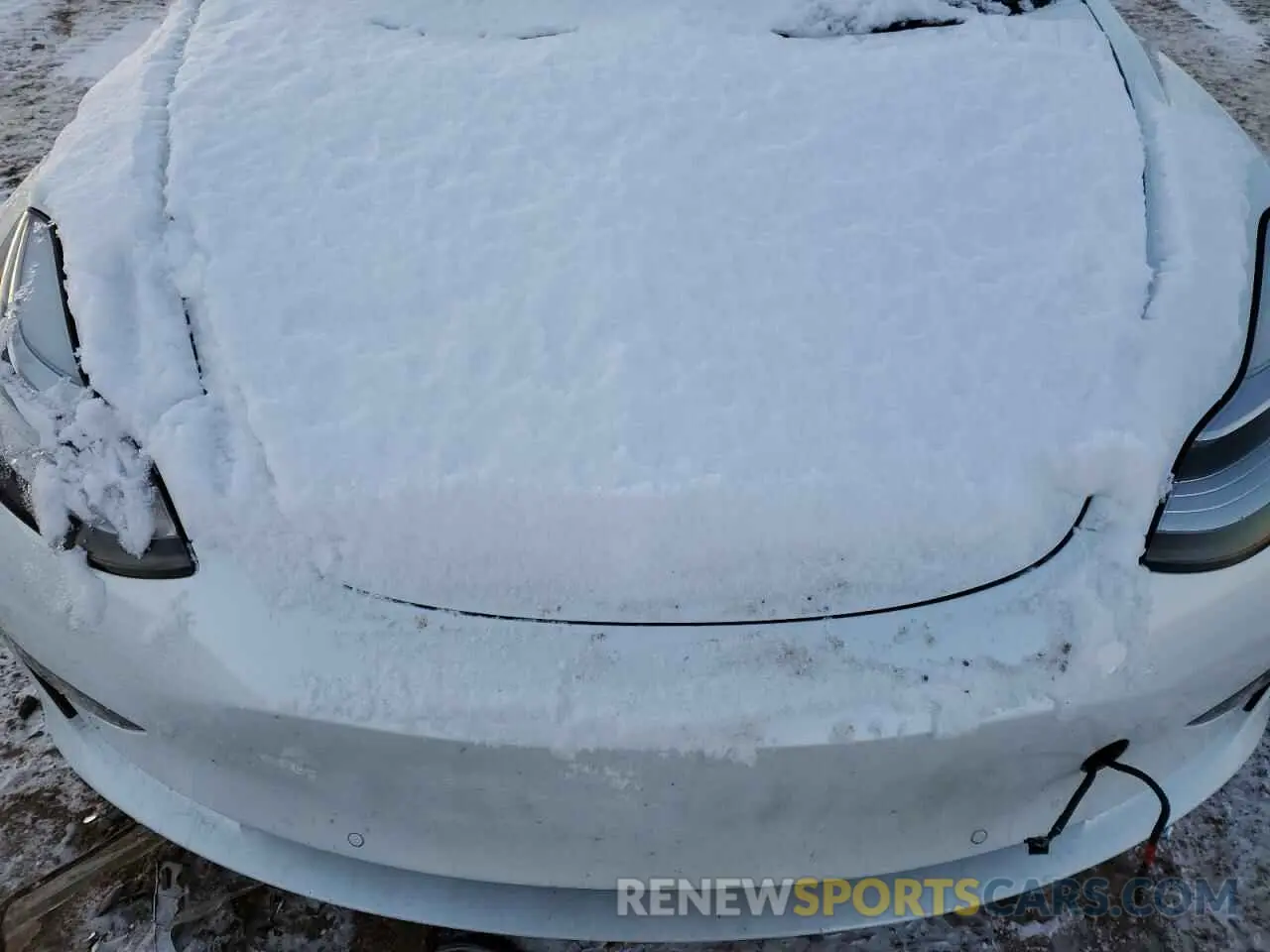 11 fotografías del automóvil dañado 5YJ3E1EB0KF512442 TESLA MODEL 3 2019