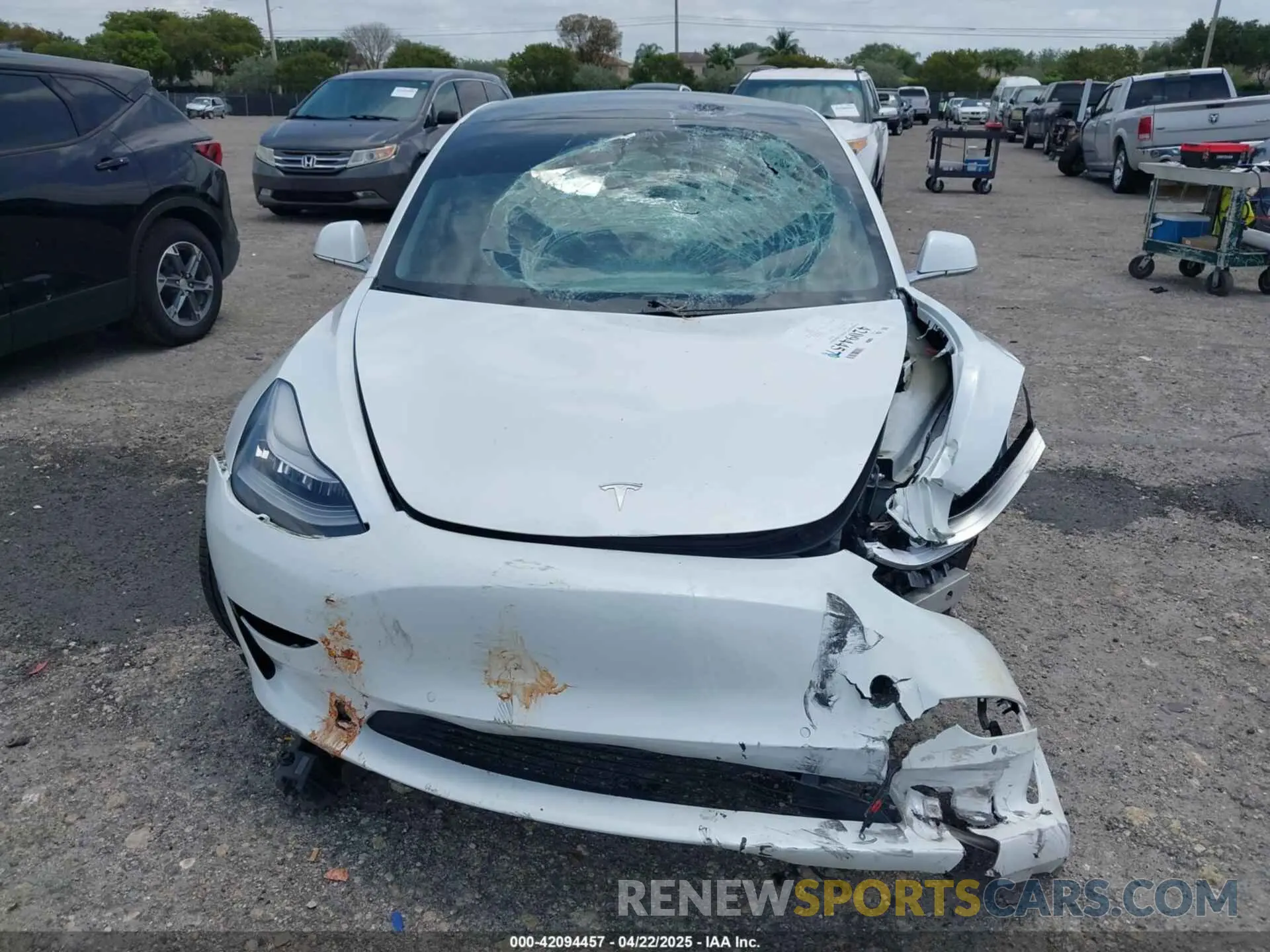 12 fotografías del automóvil dañado 5YJ3E1EB1KF365760 TESLA MODEL 3 2019