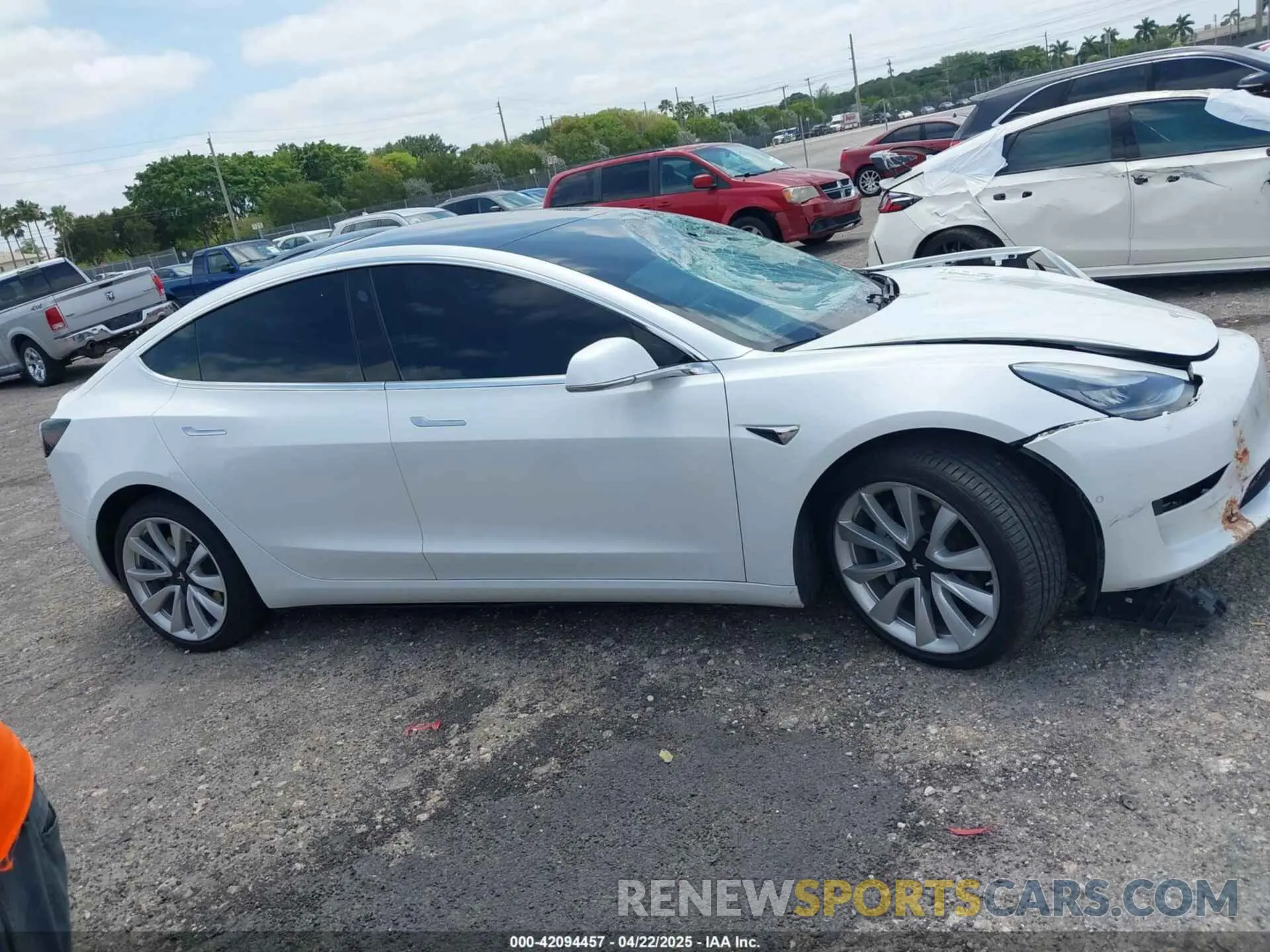 13 fotografías del automóvil dañado 5YJ3E1EB1KF365760 TESLA MODEL 3 2019