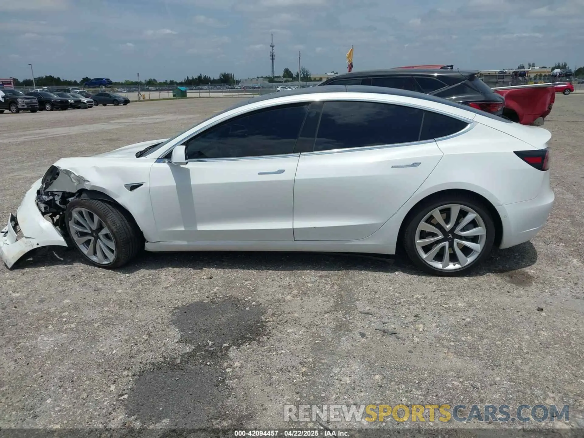 14 fotografías del automóvil dañado 5YJ3E1EB1KF365760 TESLA MODEL 3 2019