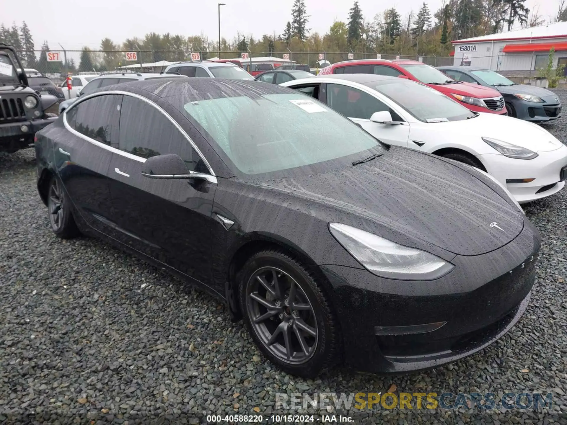 13 fotografías del automóvil dañado 5YJ3E1EB1KF385779 TESLA MODEL 3 2019