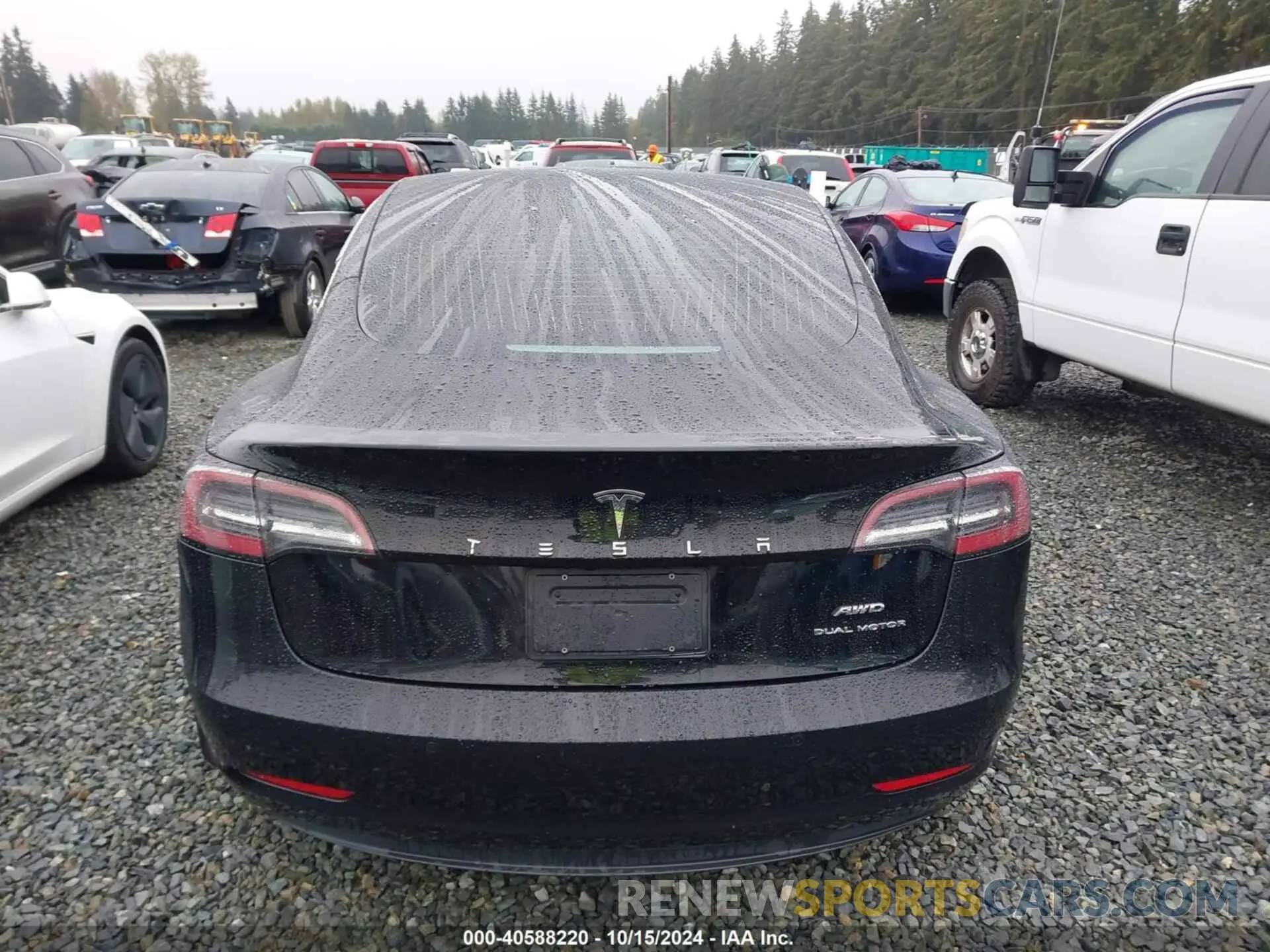 16 fotografías del automóvil dañado 5YJ3E1EB1KF385779 TESLA MODEL 3 2019