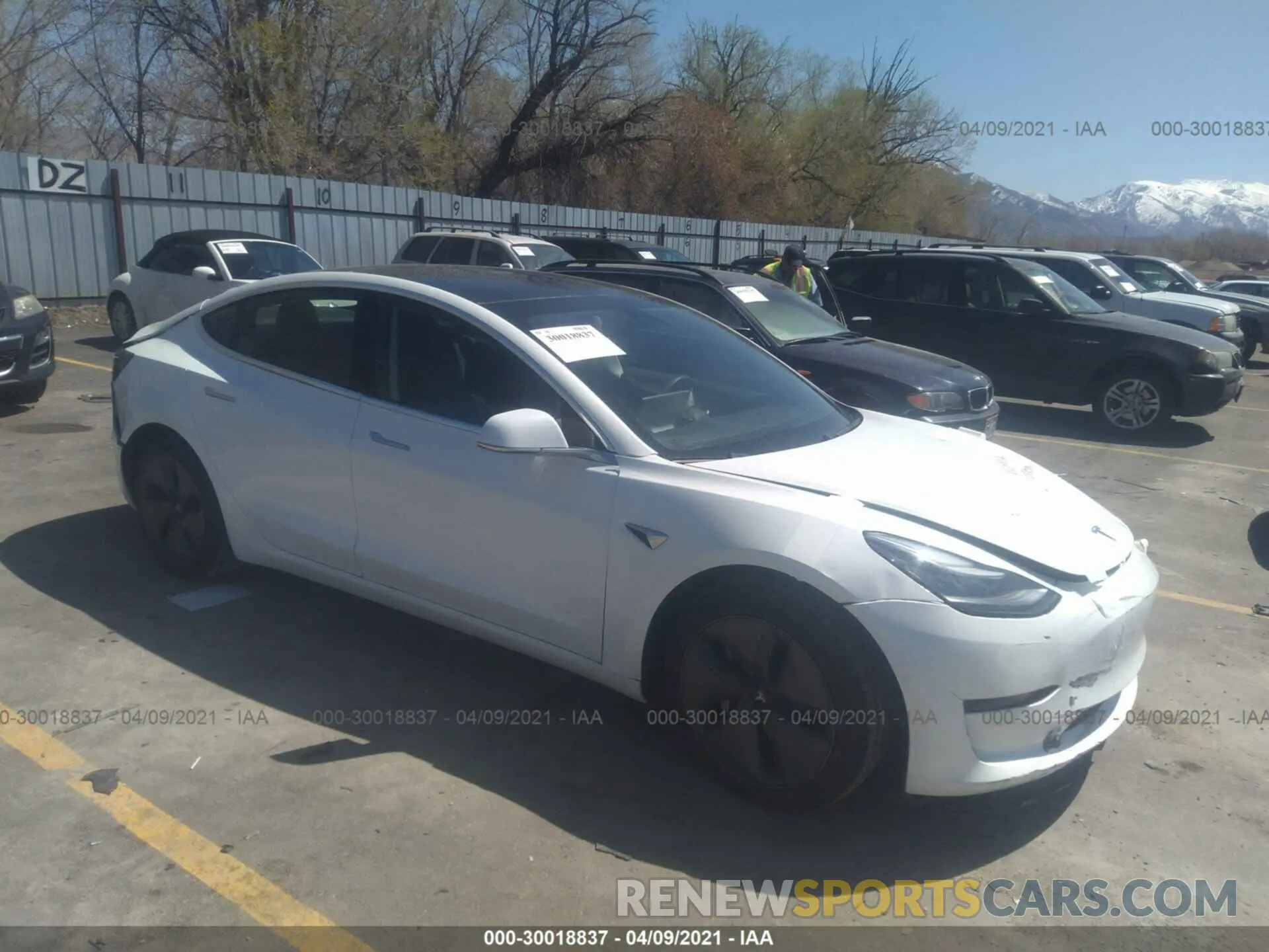 1 fotografías del automóvil dañado 5YJ3E1EB1KF494159 TESLA MODEL 3 2019