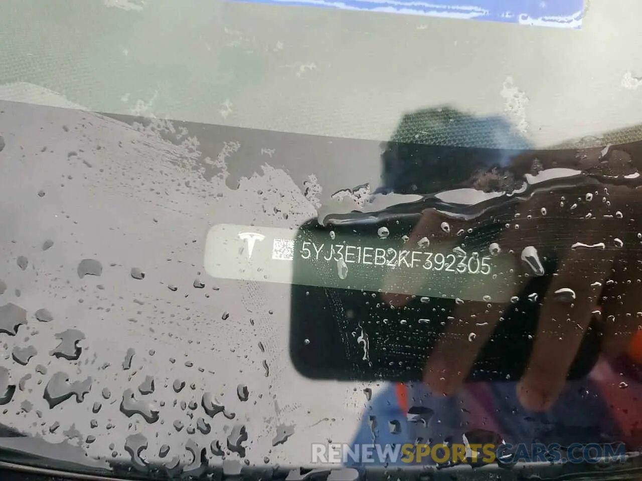 12 fotografías del automóvil dañado 5YJ3E1EB2KF392305 TESLA MODEL 3 2019