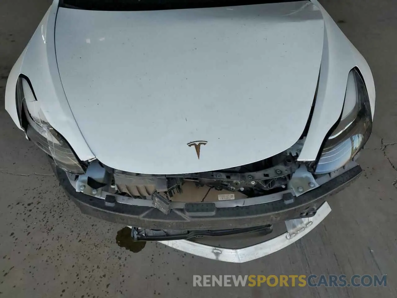 11 fotografías del automóvil dañado 5YJ3E1EB2KF512667 TESLA MODEL 3 2019