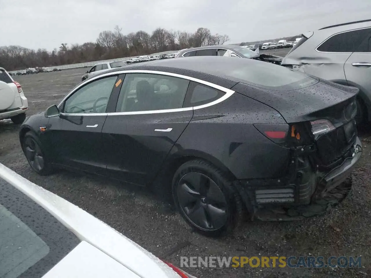 2 fotografías del automóvil dañado 5YJ3E1EB3KF198981 TESLA MODEL 3 2019