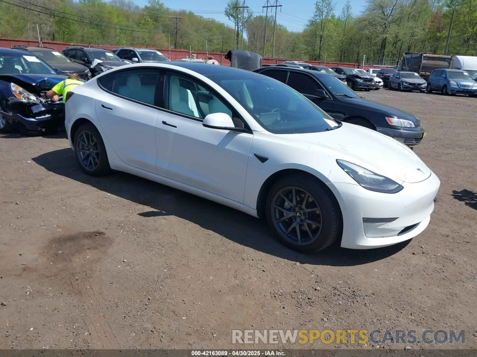 1 fotografías del automóvil dañado 5YJ3E1EB3KF450602 TESLA MODEL 3 2019