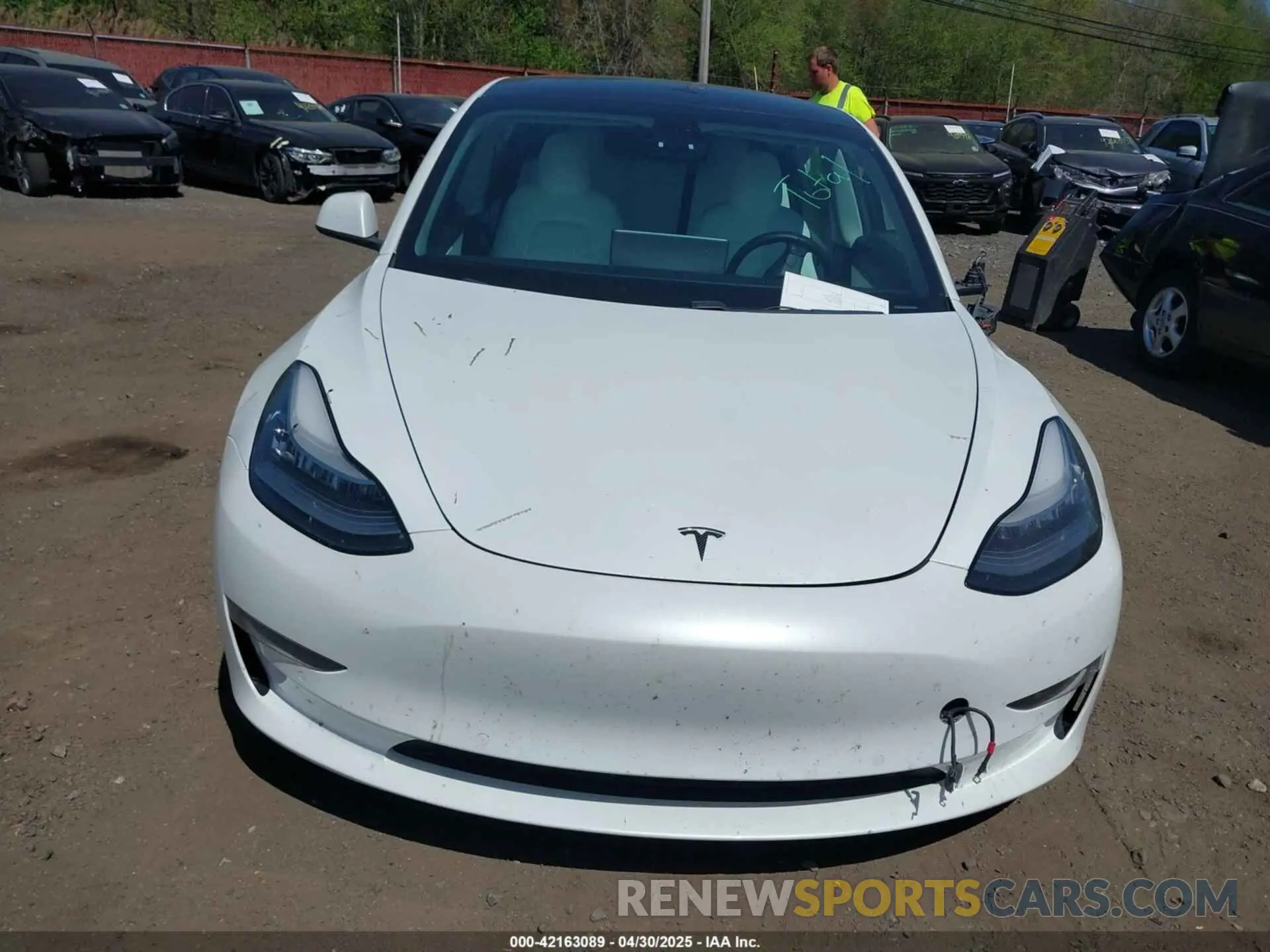 12 fotografías del automóvil dañado 5YJ3E1EB3KF450602 TESLA MODEL 3 2019