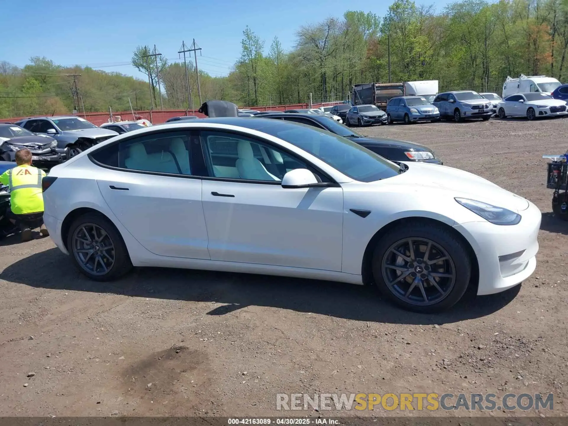 13 fotografías del automóvil dañado 5YJ3E1EB3KF450602 TESLA MODEL 3 2019