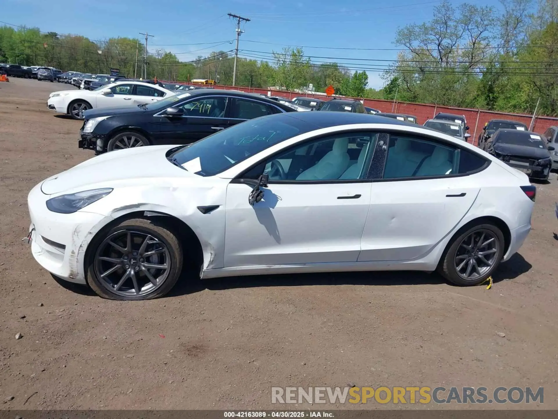 14 fotografías del automóvil dañado 5YJ3E1EB3KF450602 TESLA MODEL 3 2019
