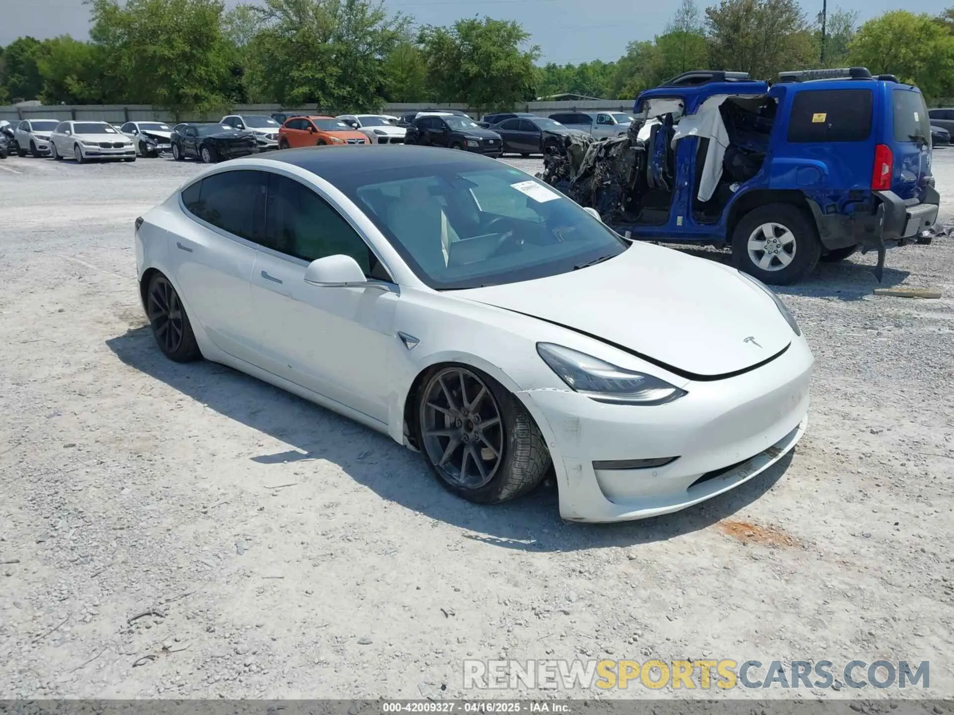 1 fotografías del automóvil dañado 5YJ3E1EB4KF494432 TESLA MODEL 3 2019