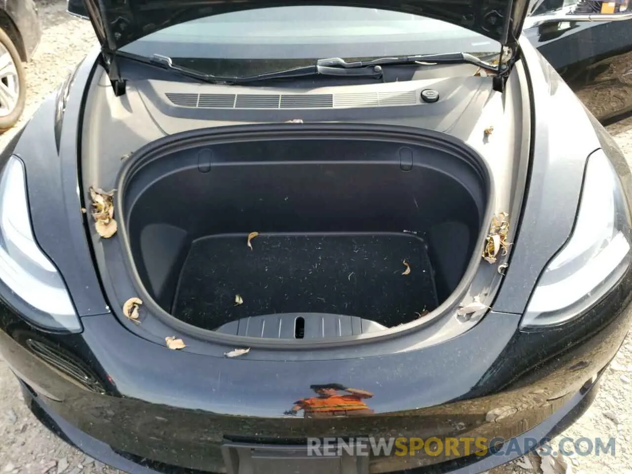 11 fotografías del automóvil dañado 5YJ3E1EB5KF361307 TESLA MODEL 3 2019