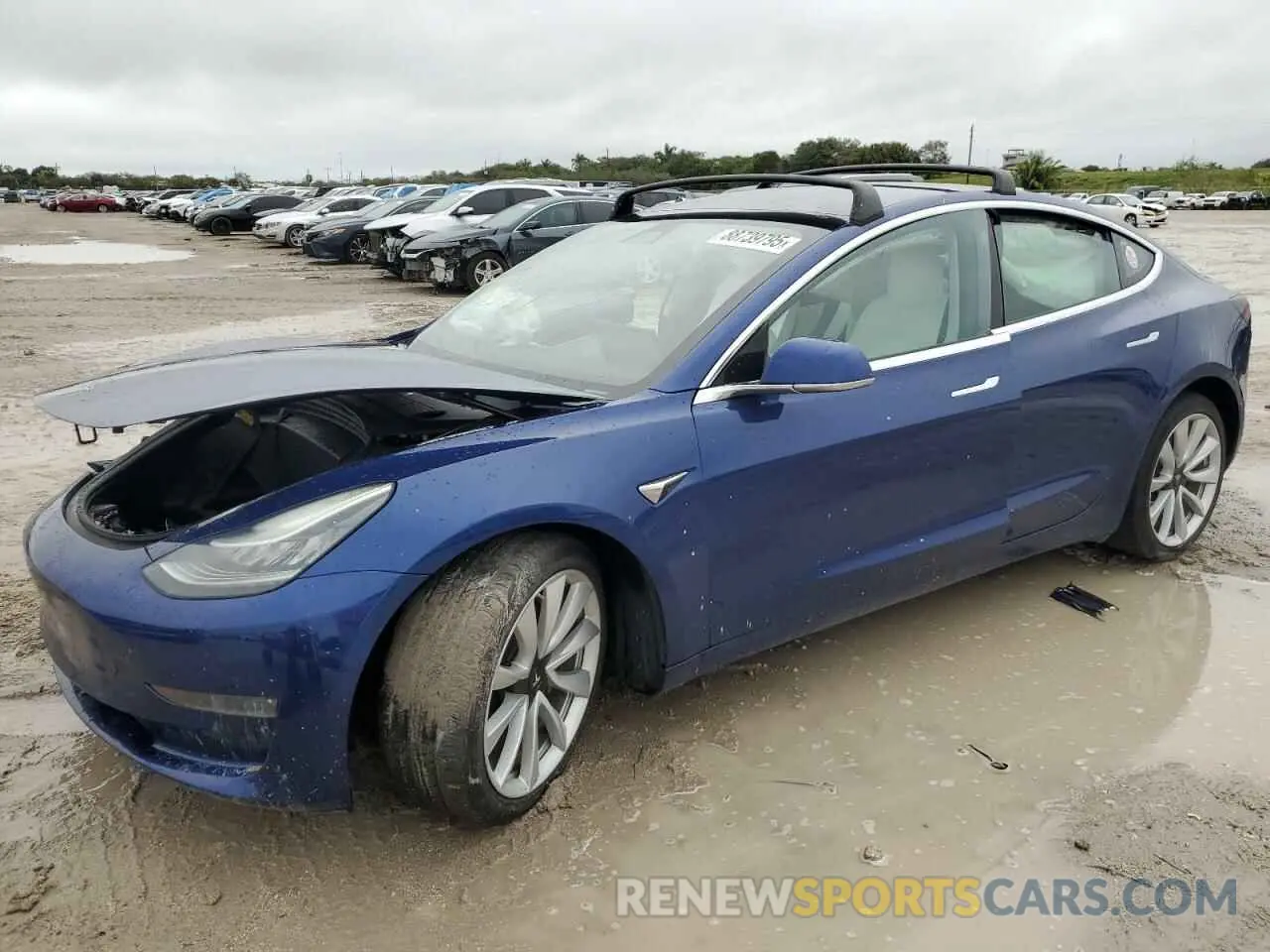 1 fotografías del automóvil dañado 5YJ3E1EB5KF482337 TESLA MODEL 3 2019