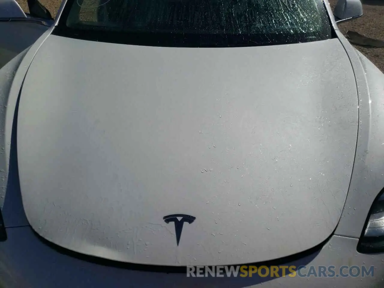 7 fotografías del automóvil dañado 5YJ3E1EB5KF494438 TESLA MODEL 3 2019