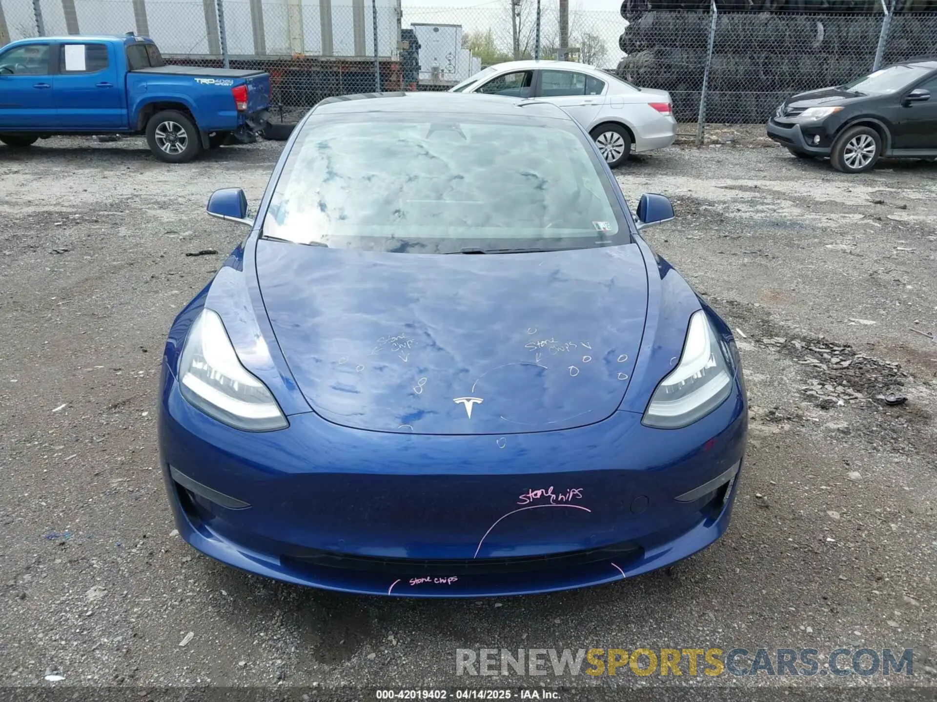 12 fotografías del automóvil dañado 5YJ3E1EB5KF497582 TESLA MODEL 3 2019
