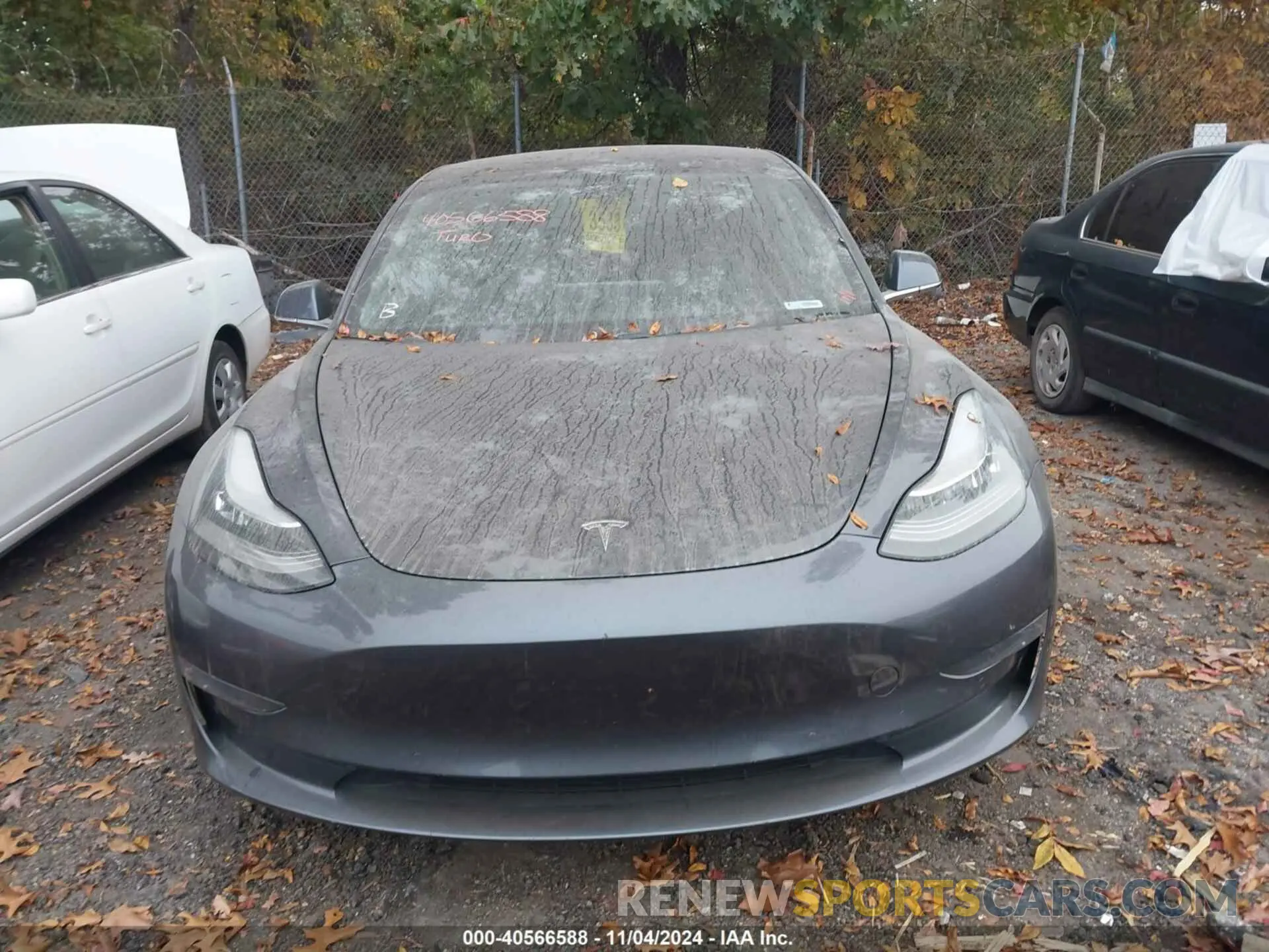 12 fotografías del automóvil dañado 5YJ3E1EB6KF520741 TESLA MODEL 3 2019