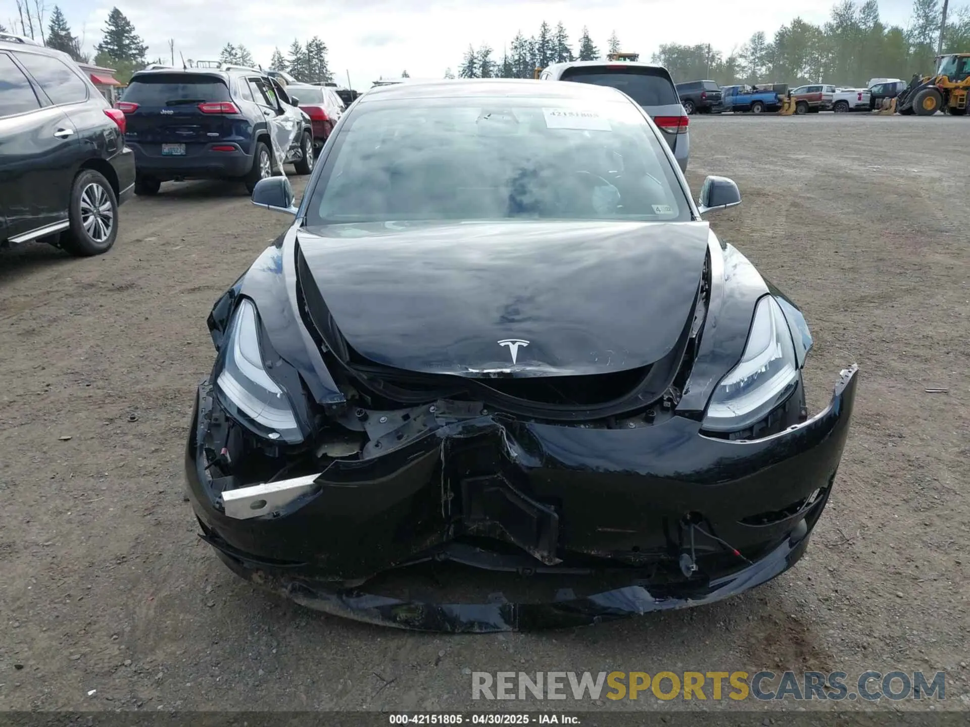 12 fotografías del automóvil dañado 5YJ3E1EB7KF191872 TESLA MODEL 3 2019