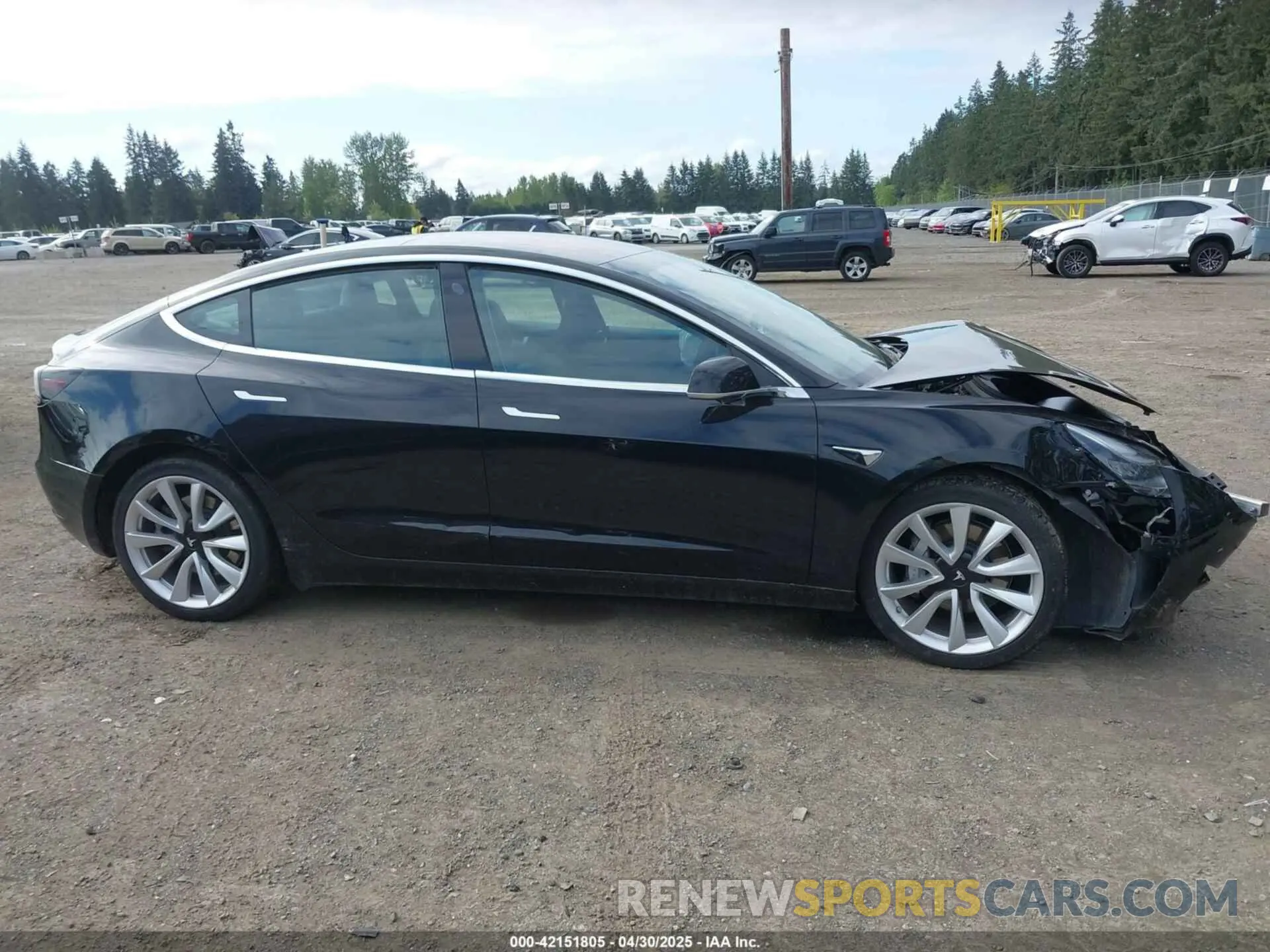 13 fotografías del automóvil dañado 5YJ3E1EB7KF191872 TESLA MODEL 3 2019