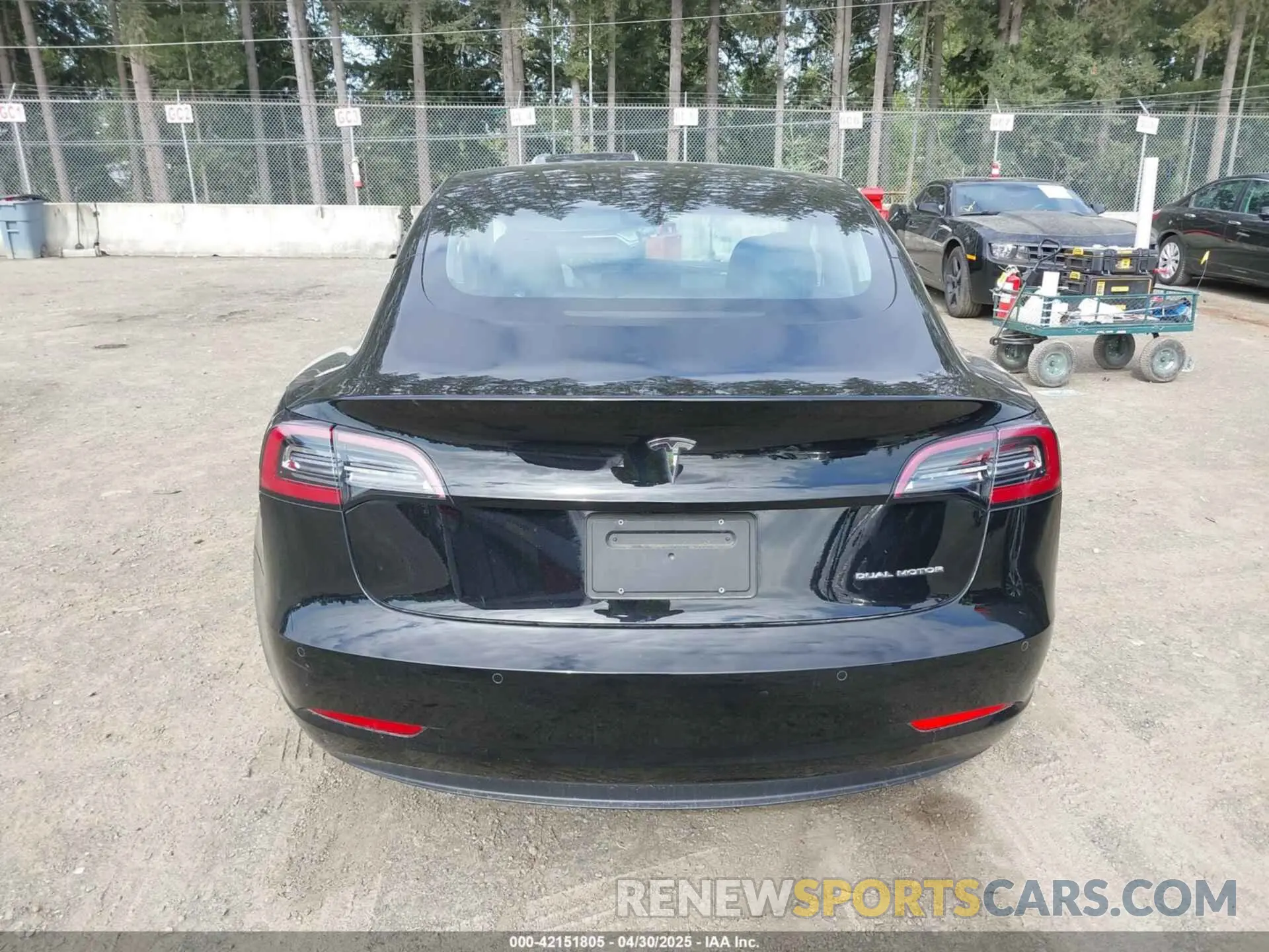 16 fotografías del automóvil dañado 5YJ3E1EB7KF191872 TESLA MODEL 3 2019