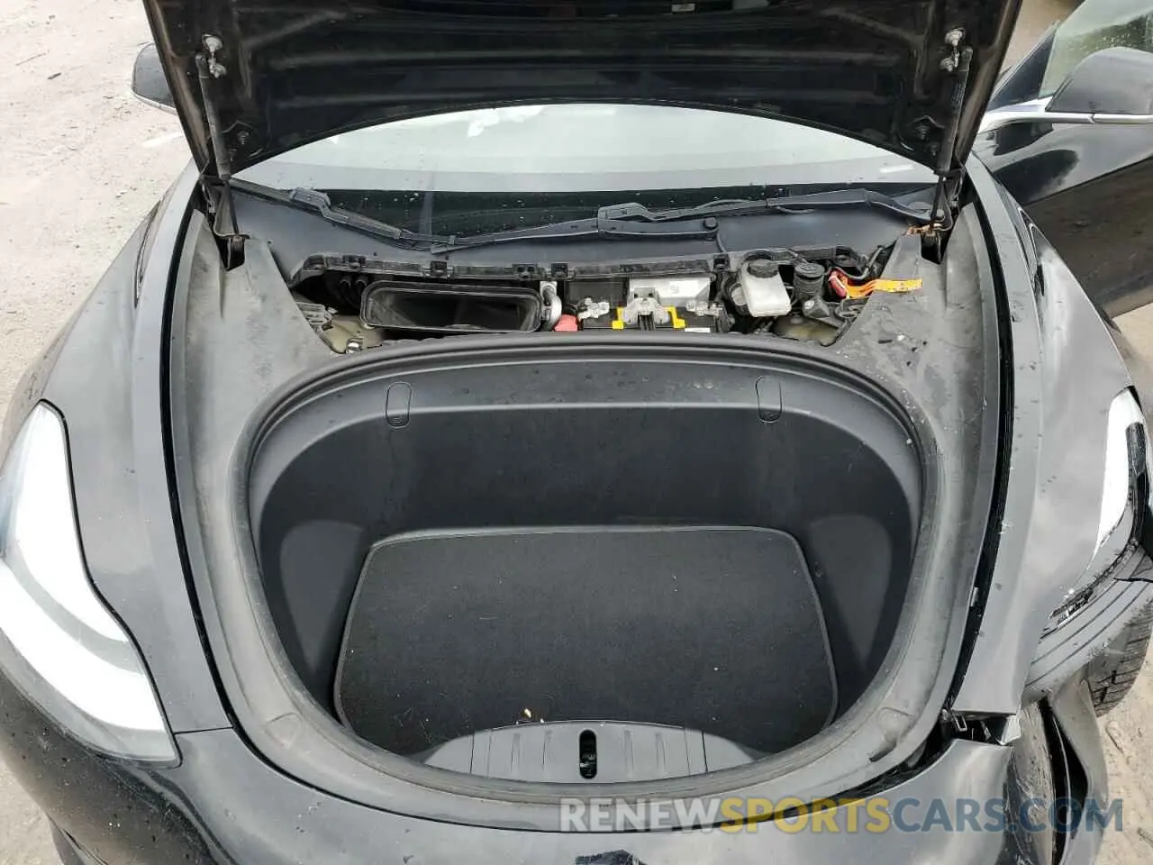 12 fotografías del automóvil dañado 5YJ3E1EB7KF199051 TESLA MODEL 3 2019