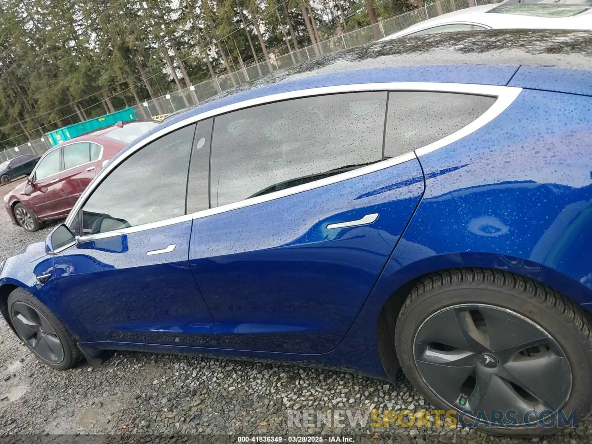 14 fotografías del automóvil dañado 5YJ3E1EB8KF512950 TESLA MODEL 3 2019