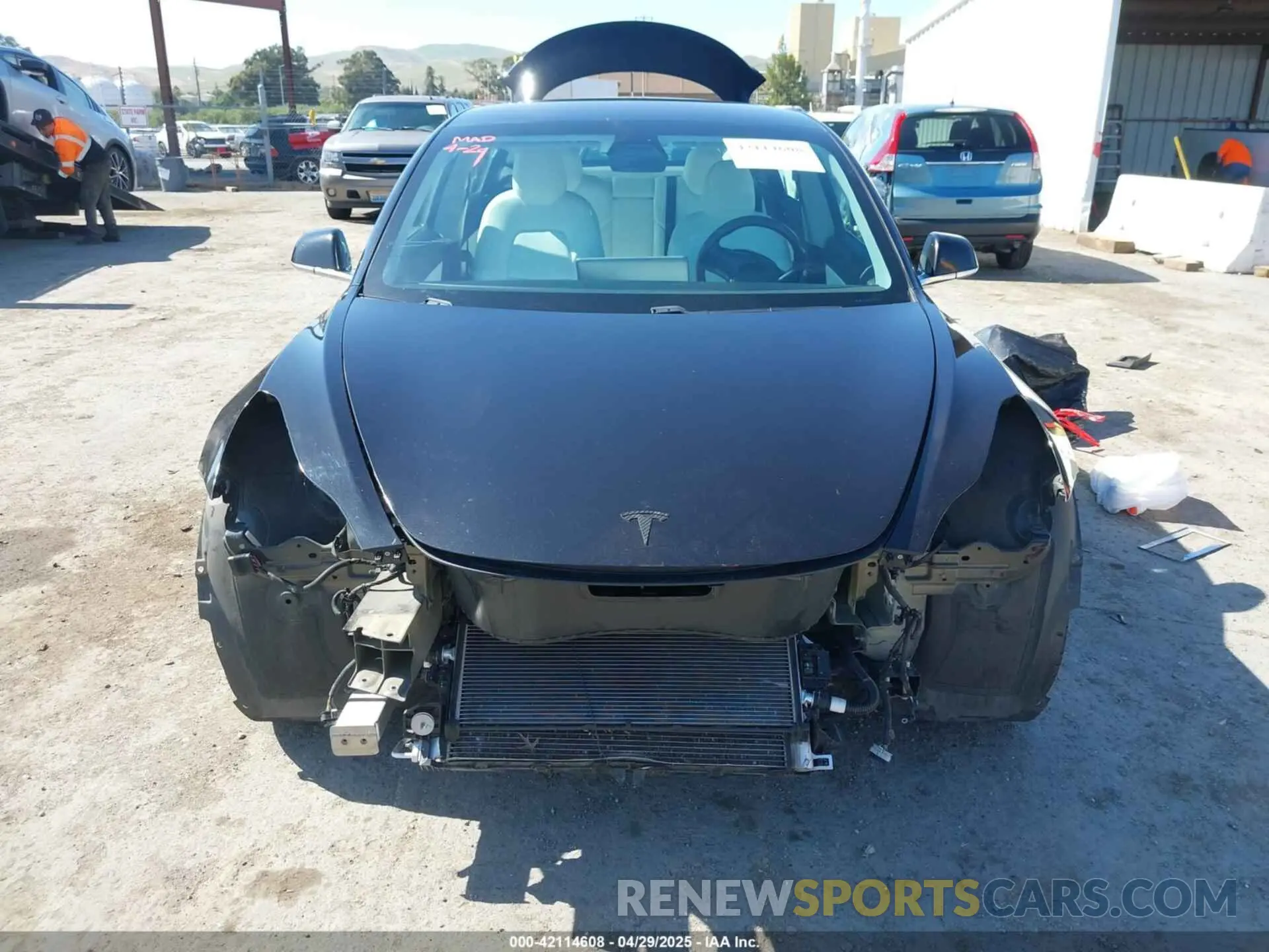 13 fotografías del automóvil dañado 5YJ3E1EB9KF231742 TESLA MODEL 3 2019