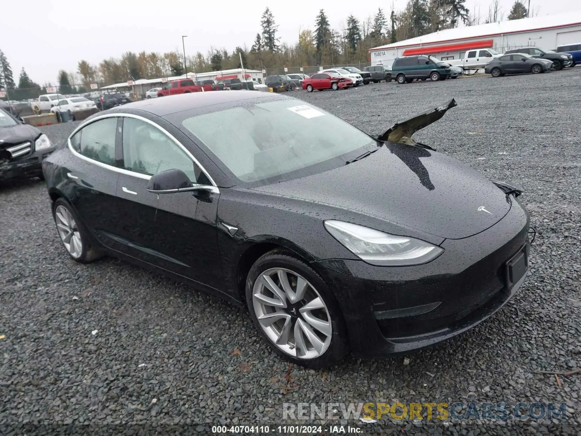 12 fotografías del automóvil dañado 5YJ3E1EBXKF192448 TESLA MODEL 3 2019