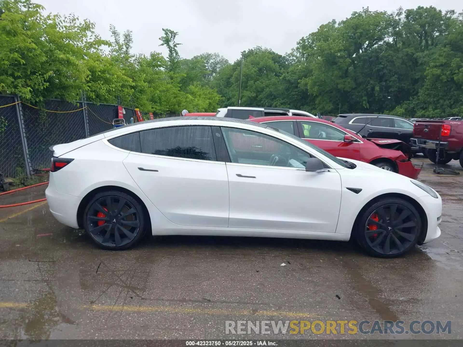 12 fotografías del automóvil dañado 5YJ3E1EBXKF393427 TESLA MODEL 3 2019