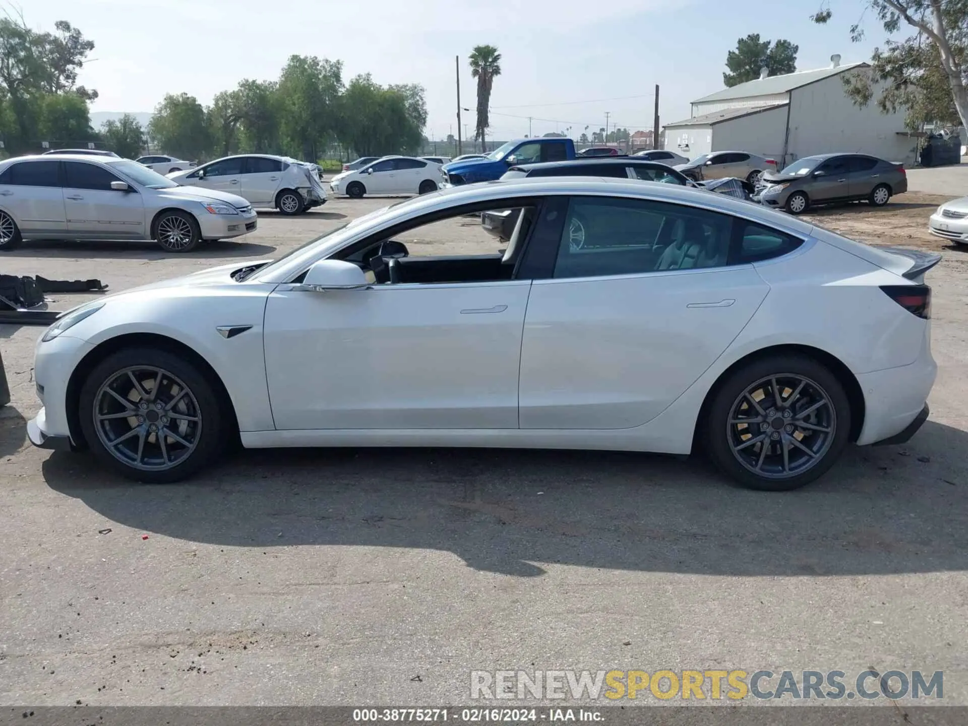 14 fotografías del automóvil dañado 5YJ3E1EA1LF739891 TESLA MODEL 3 2020