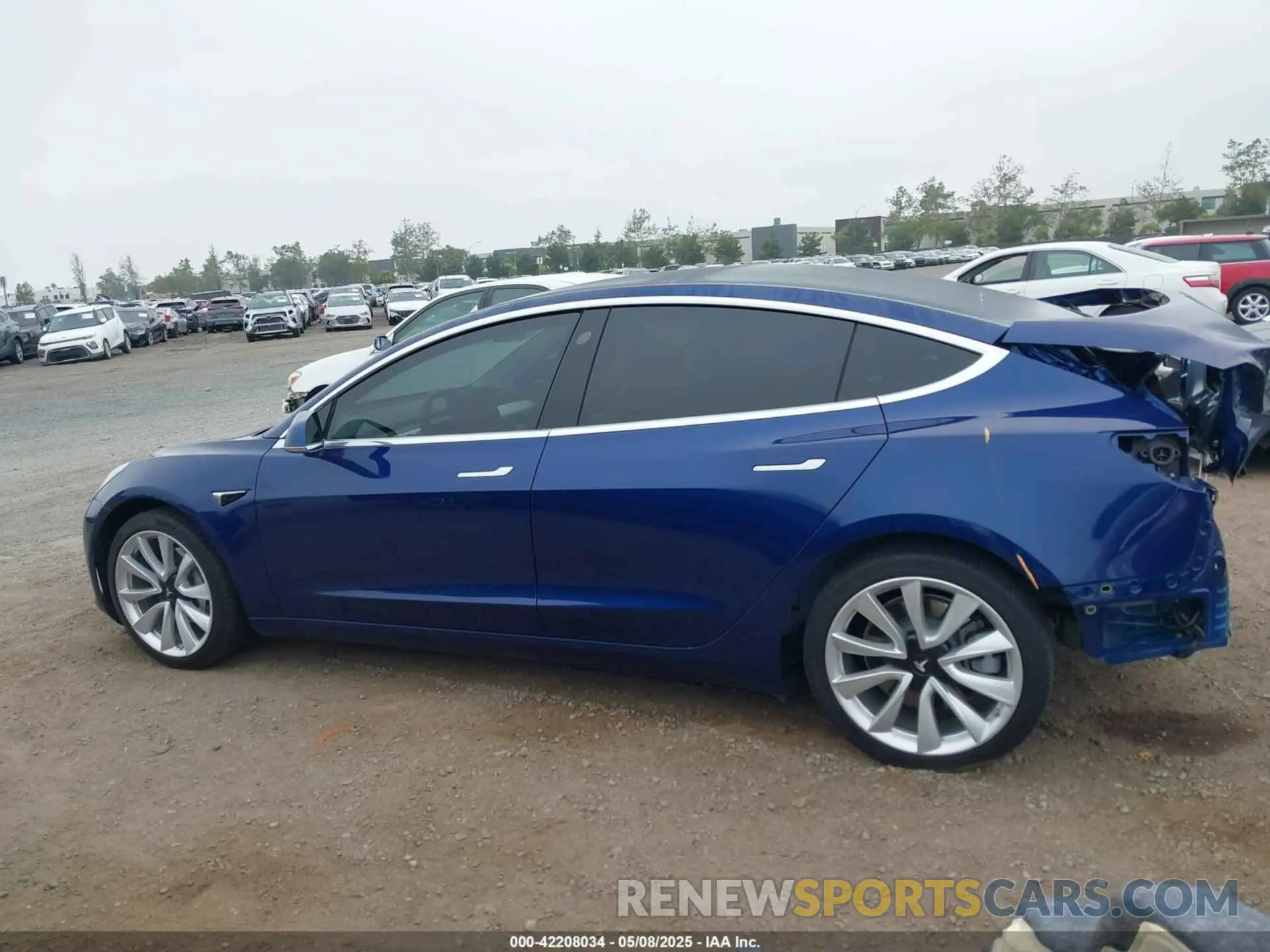 14 fotografías del automóvil dañado 5YJ3E1EA1LF802648 TESLA MODEL 3 2020