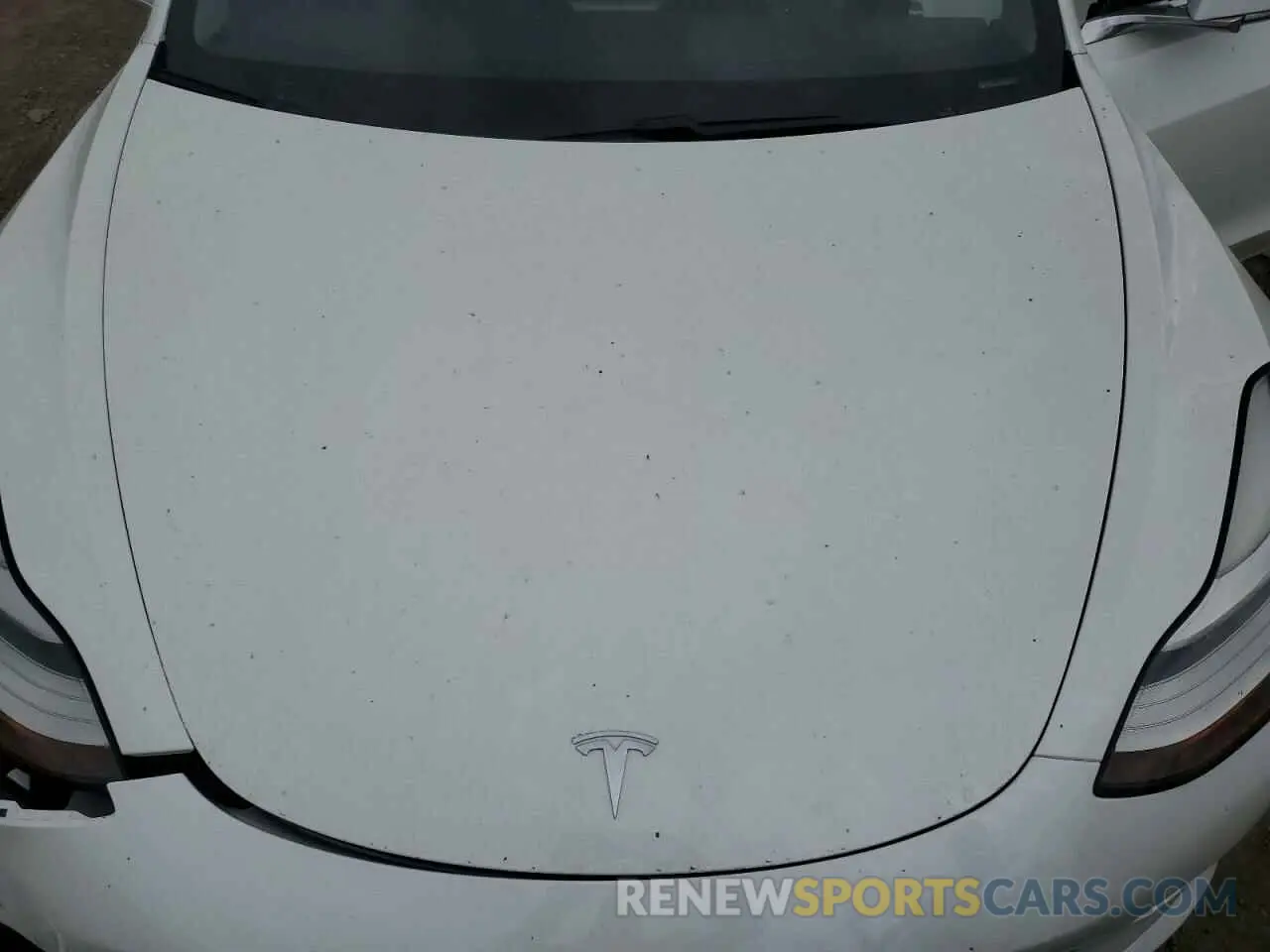 13 fotografías del automóvil dañado 5YJ3E1EA2LF806434 TESLA MODEL 3 2020