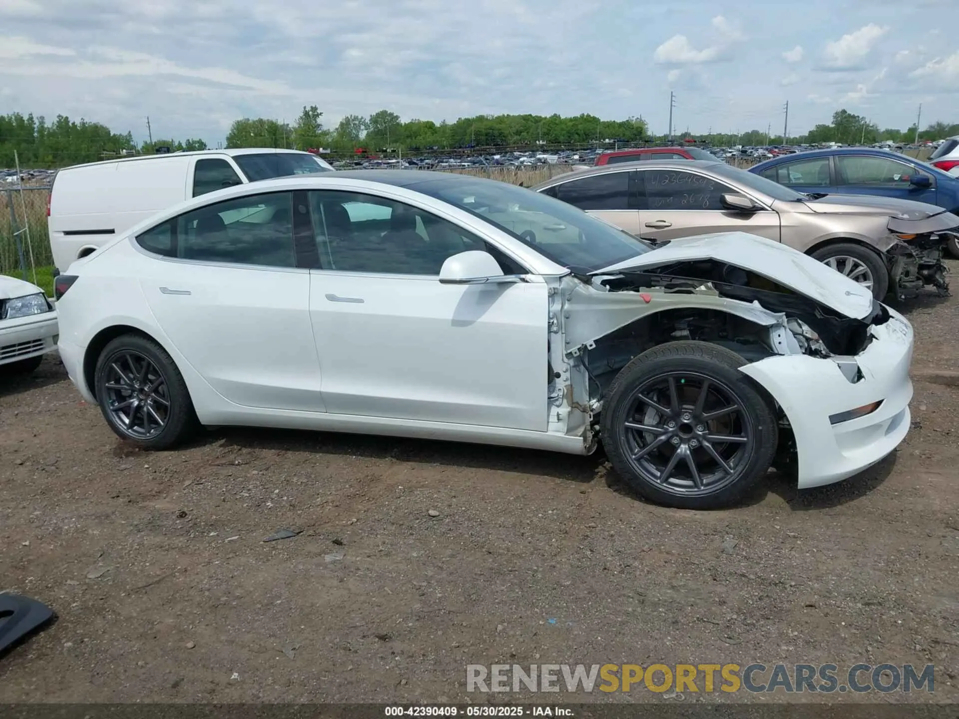 13 fotografías del automóvil dañado 5YJ3E1EA3LF794276 TESLA MODEL 3 2020