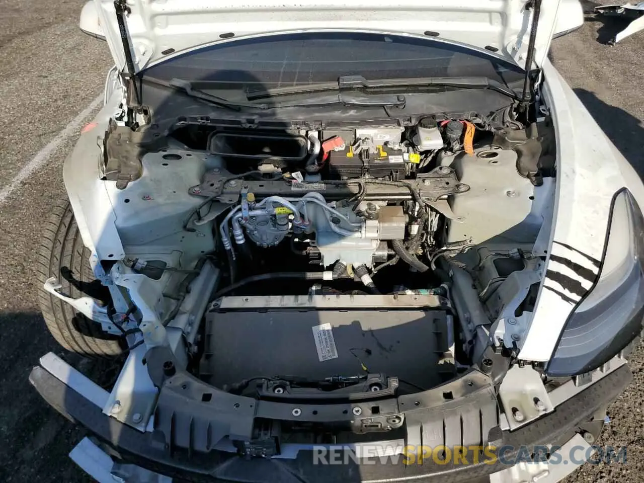 11 fotografías del automóvil dañado 5YJ3E1EA7LF803996 TESLA MODEL 3 2020